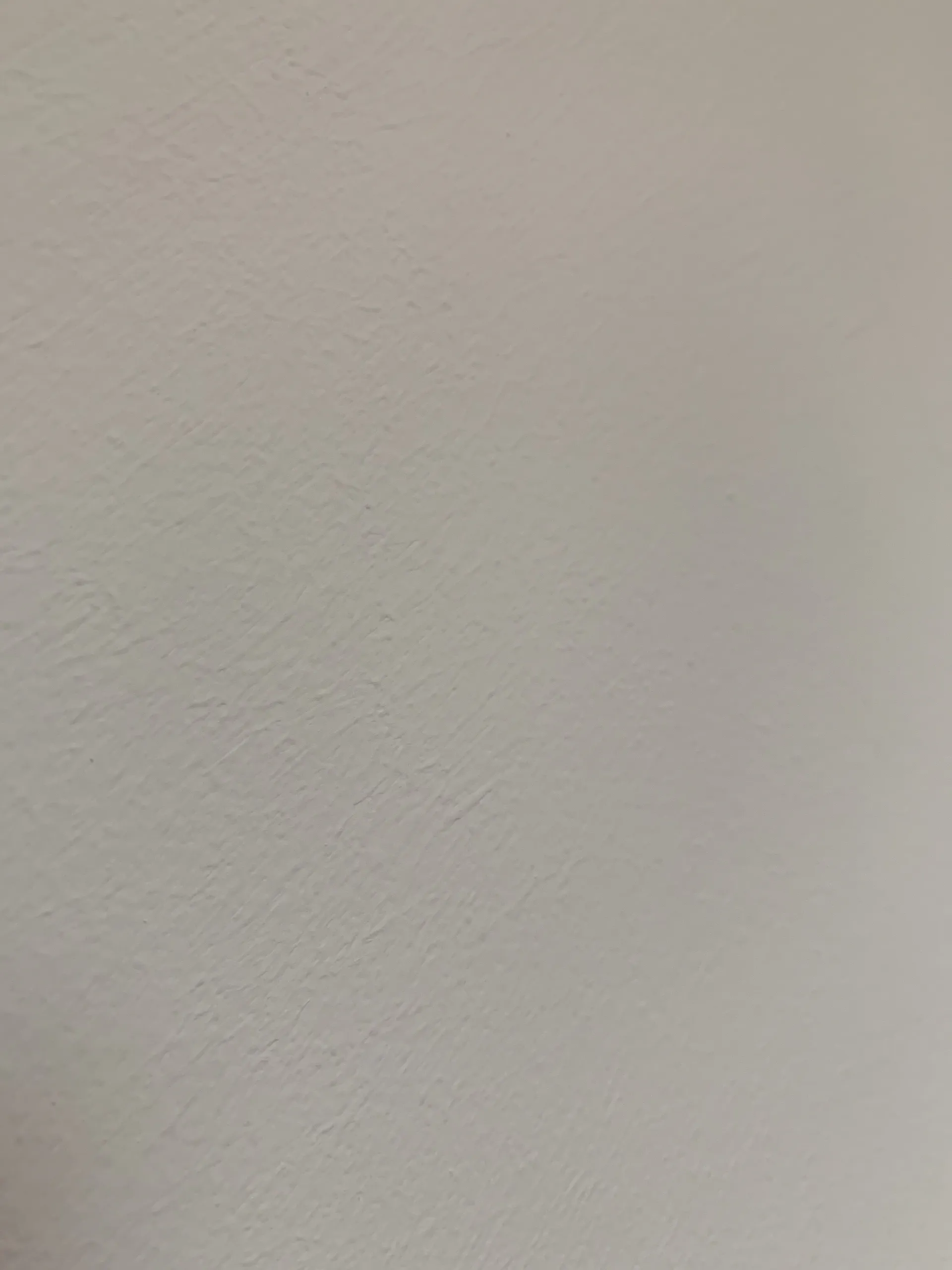 Stella OnlyFans header