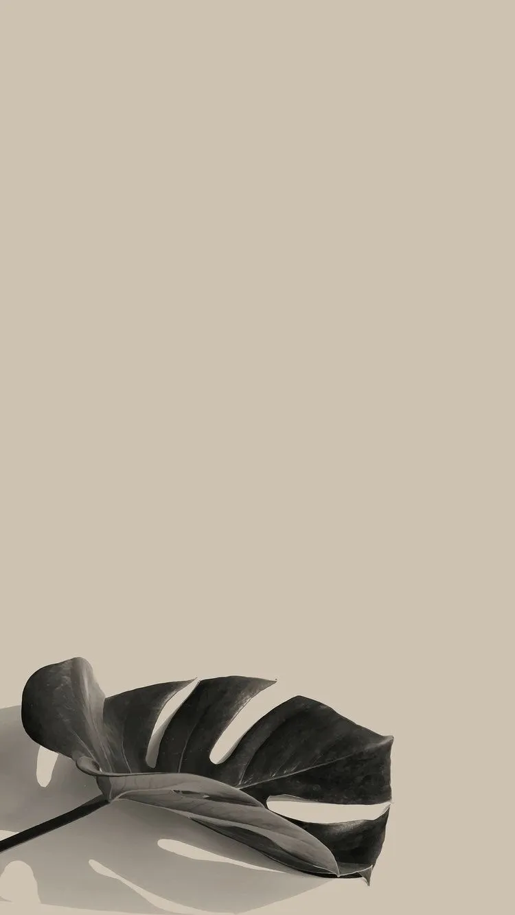 Bruna Torres OnlyFans header