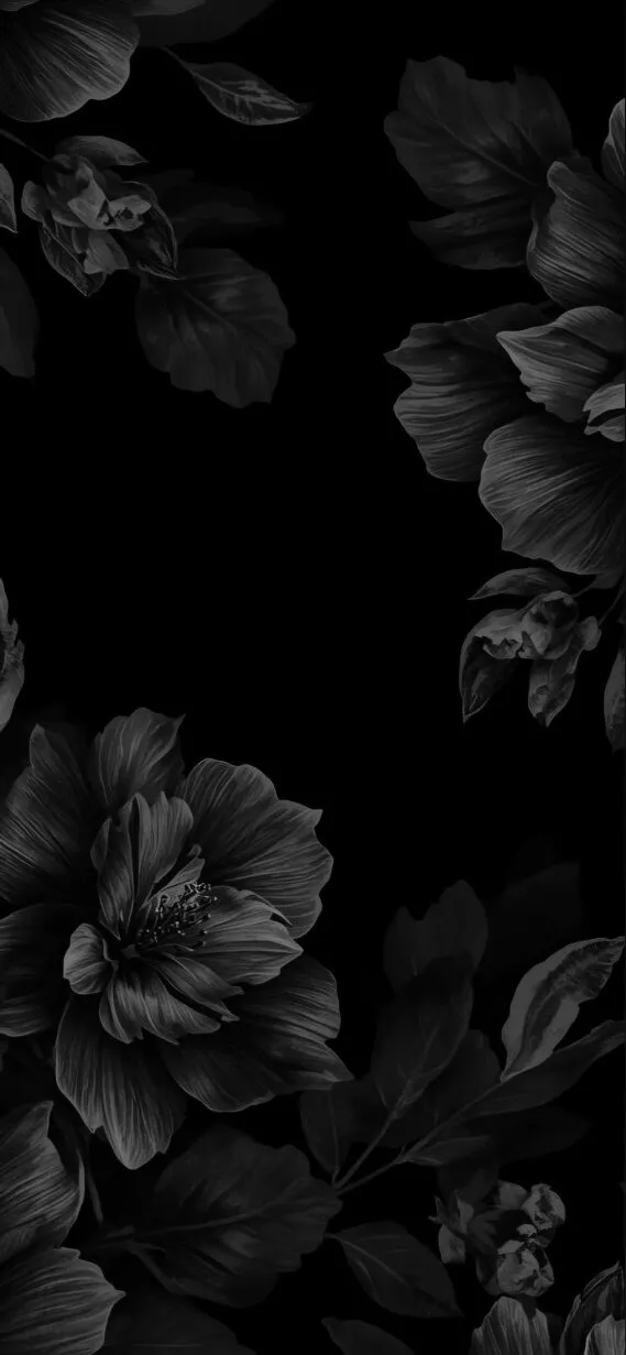 brunkbarbiee OnlyFans header