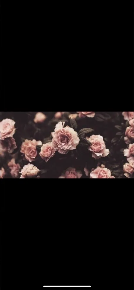 Bryanna OnlyFans header