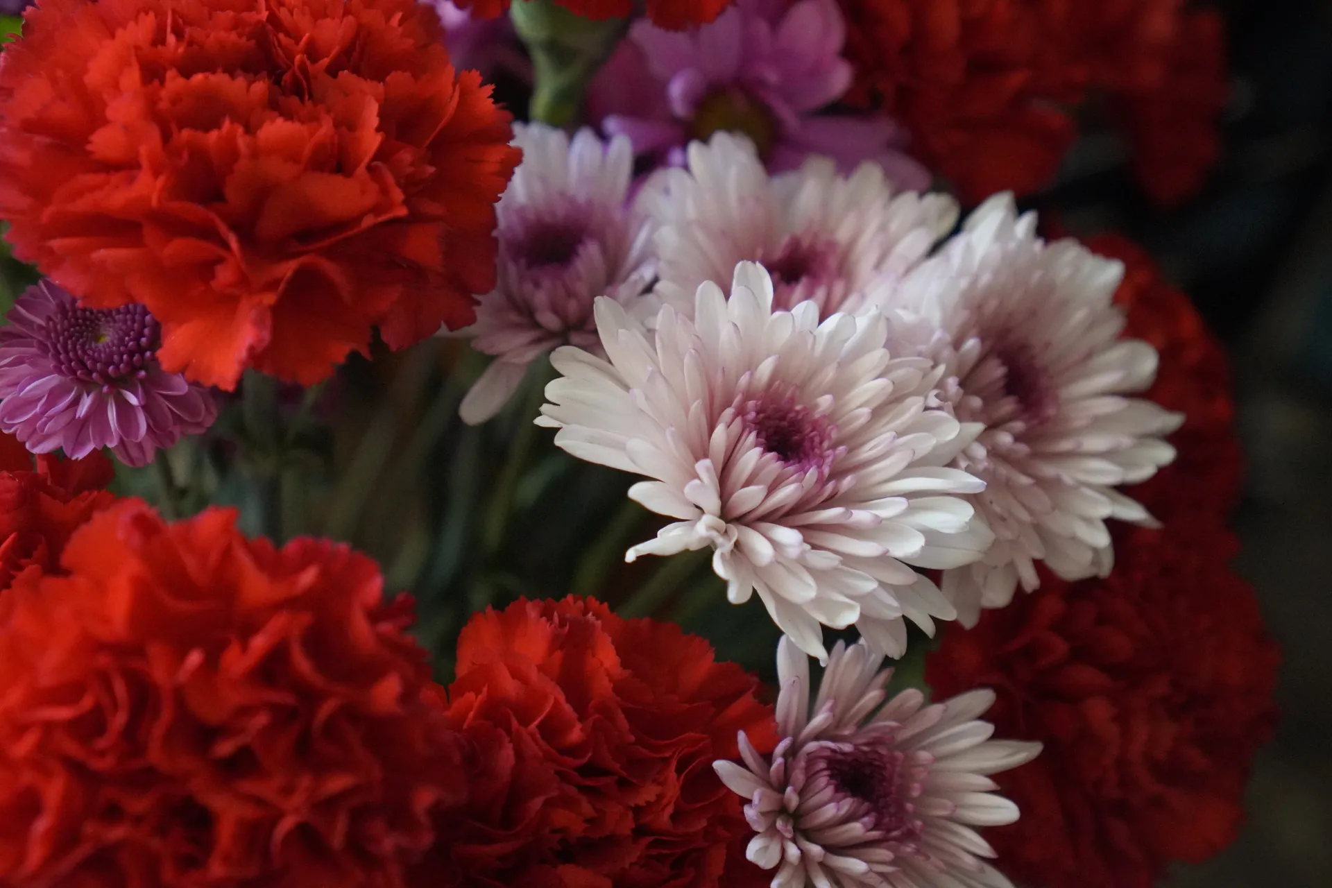 Brynn Lea OnlyFans header