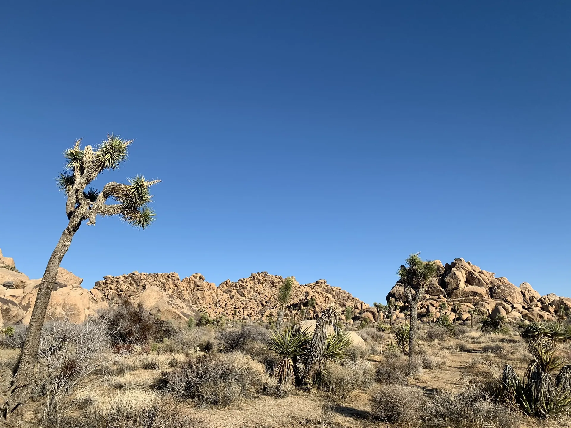 @BtaurusG OnlyFans header