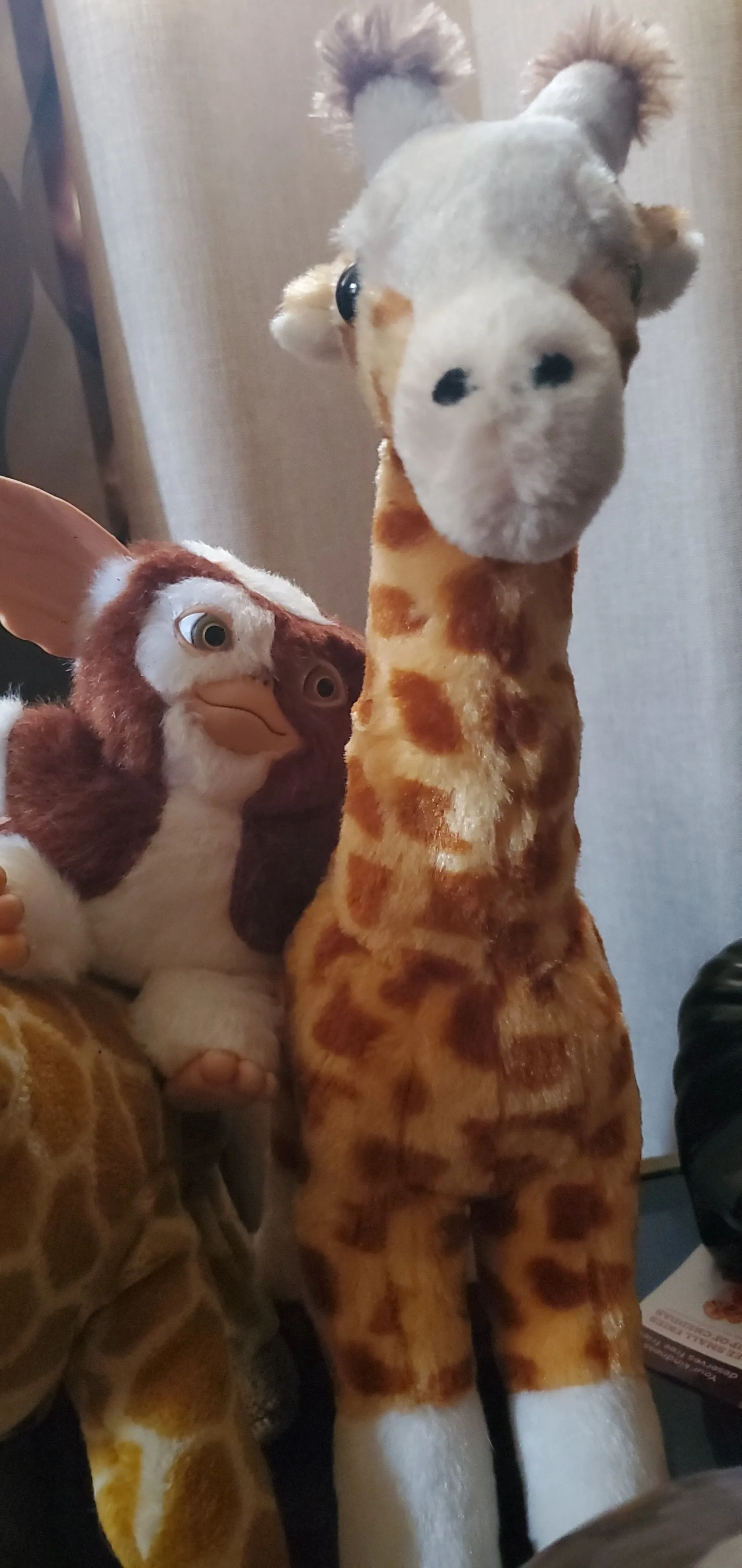 Richard OnlyFans header