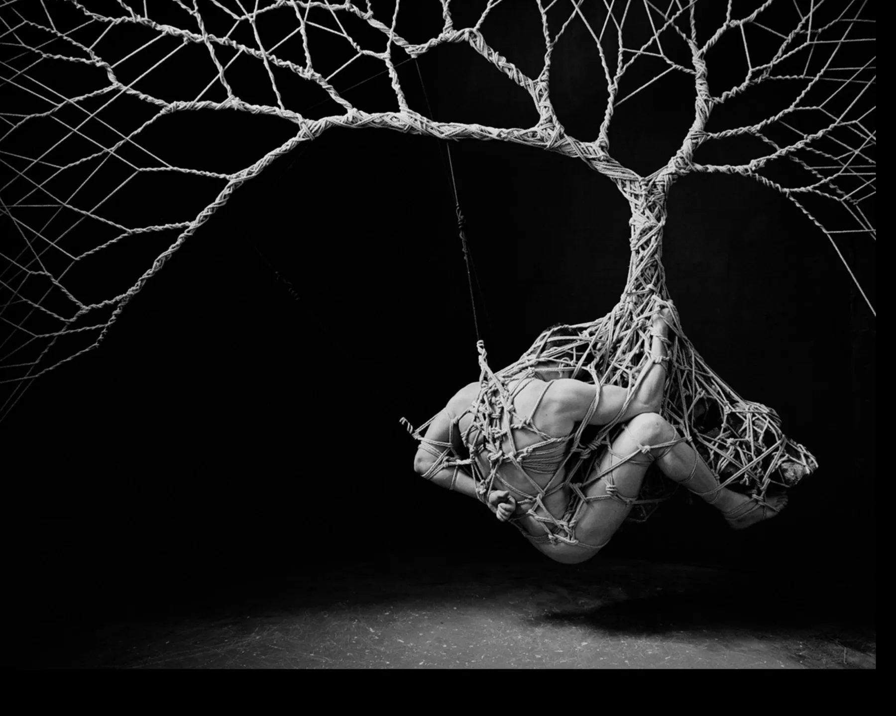 BigTezInLesbianWaters OnlyFans header