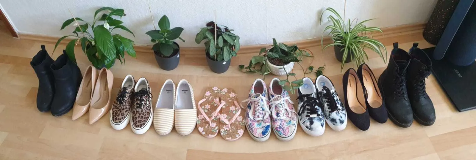 Booteelicious OnlyFans header