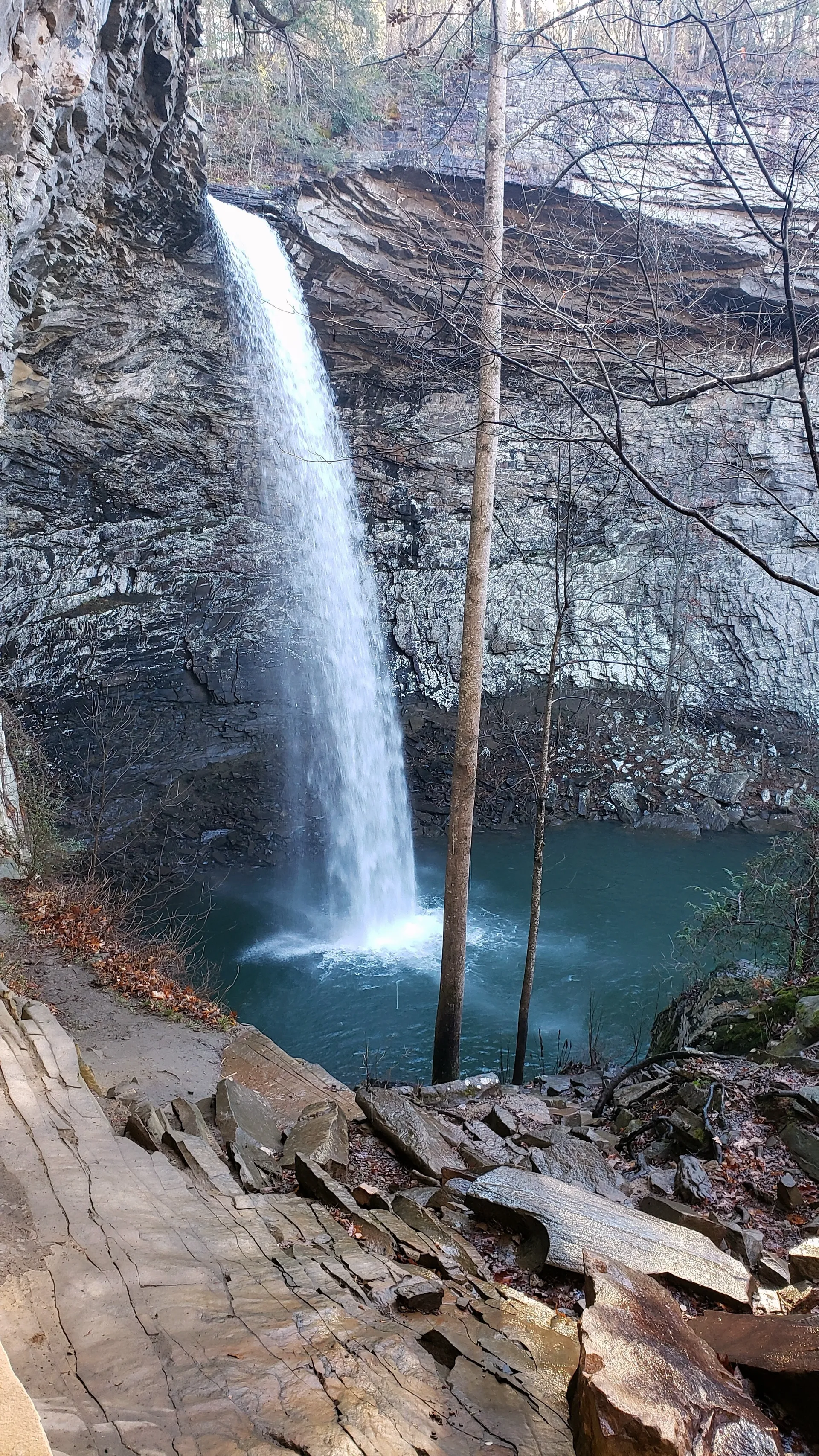 Btrfly OnlyFans header