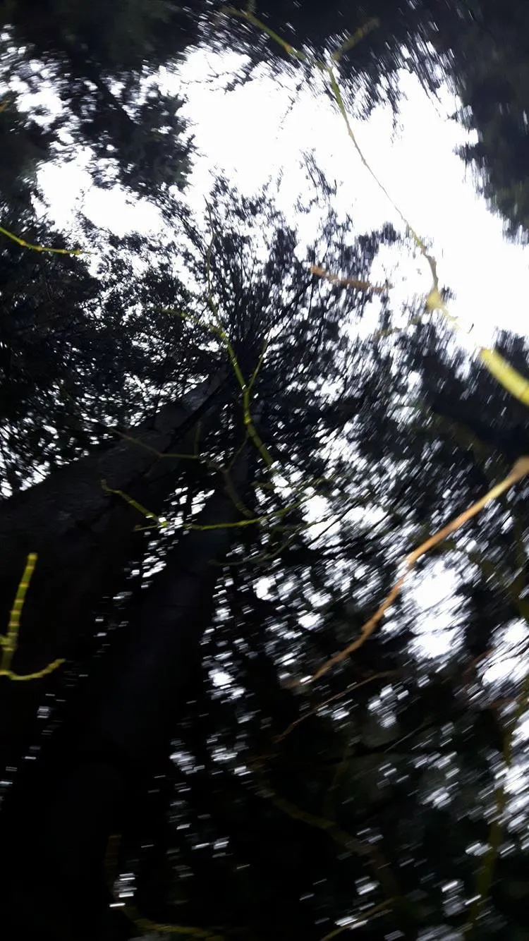 bttmboiqtpie OnlyFans header