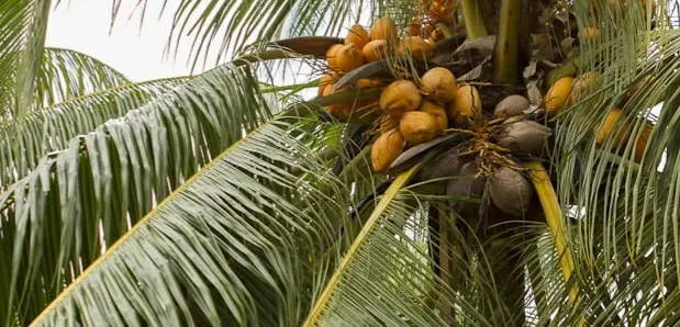 Bttm Jay OnlyFans header