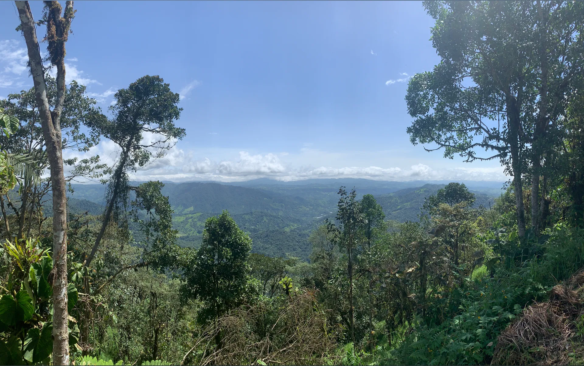 BetterThanYourEx OnlyFans header