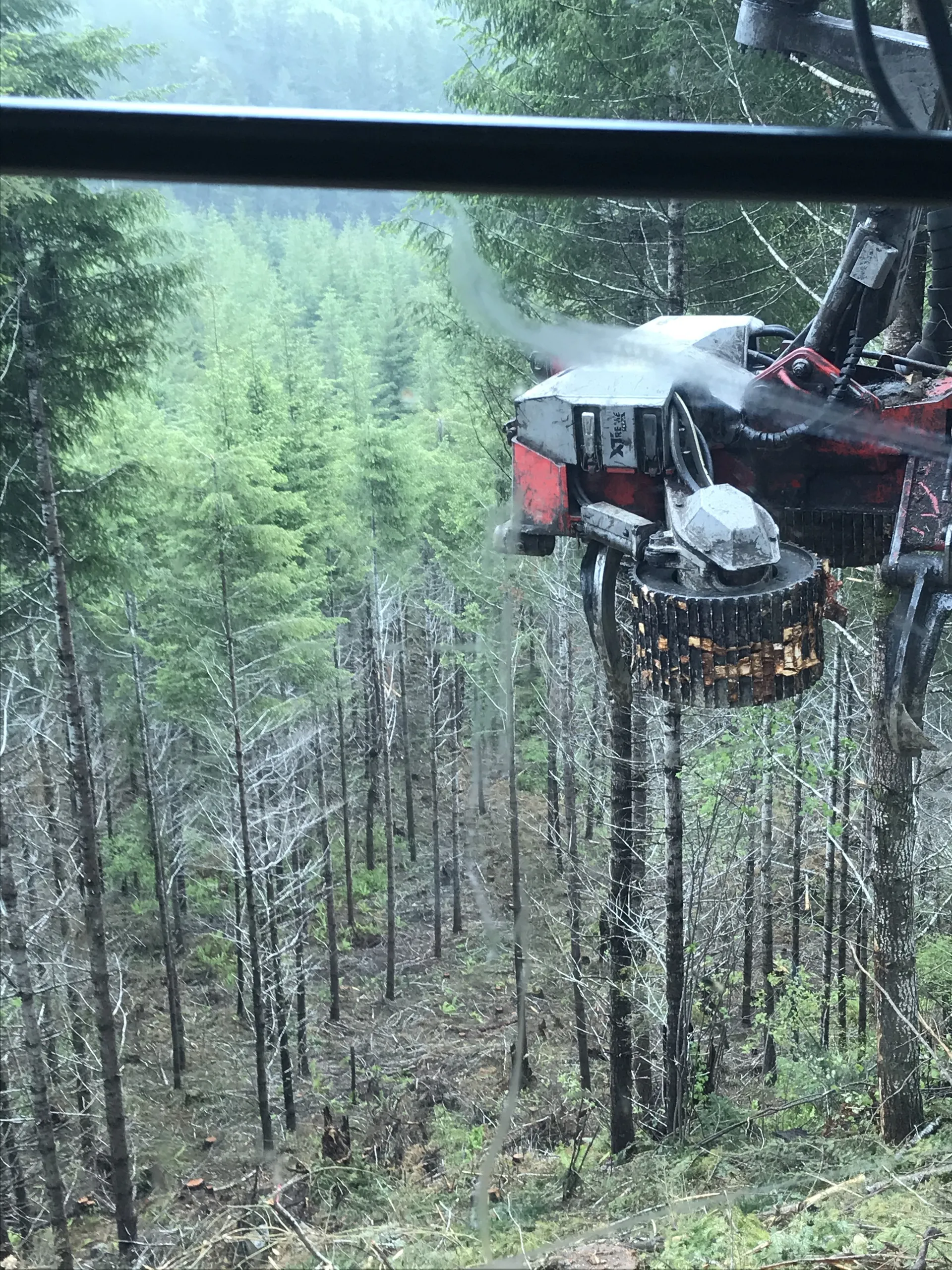 Matthew McKnight OnlyFans header