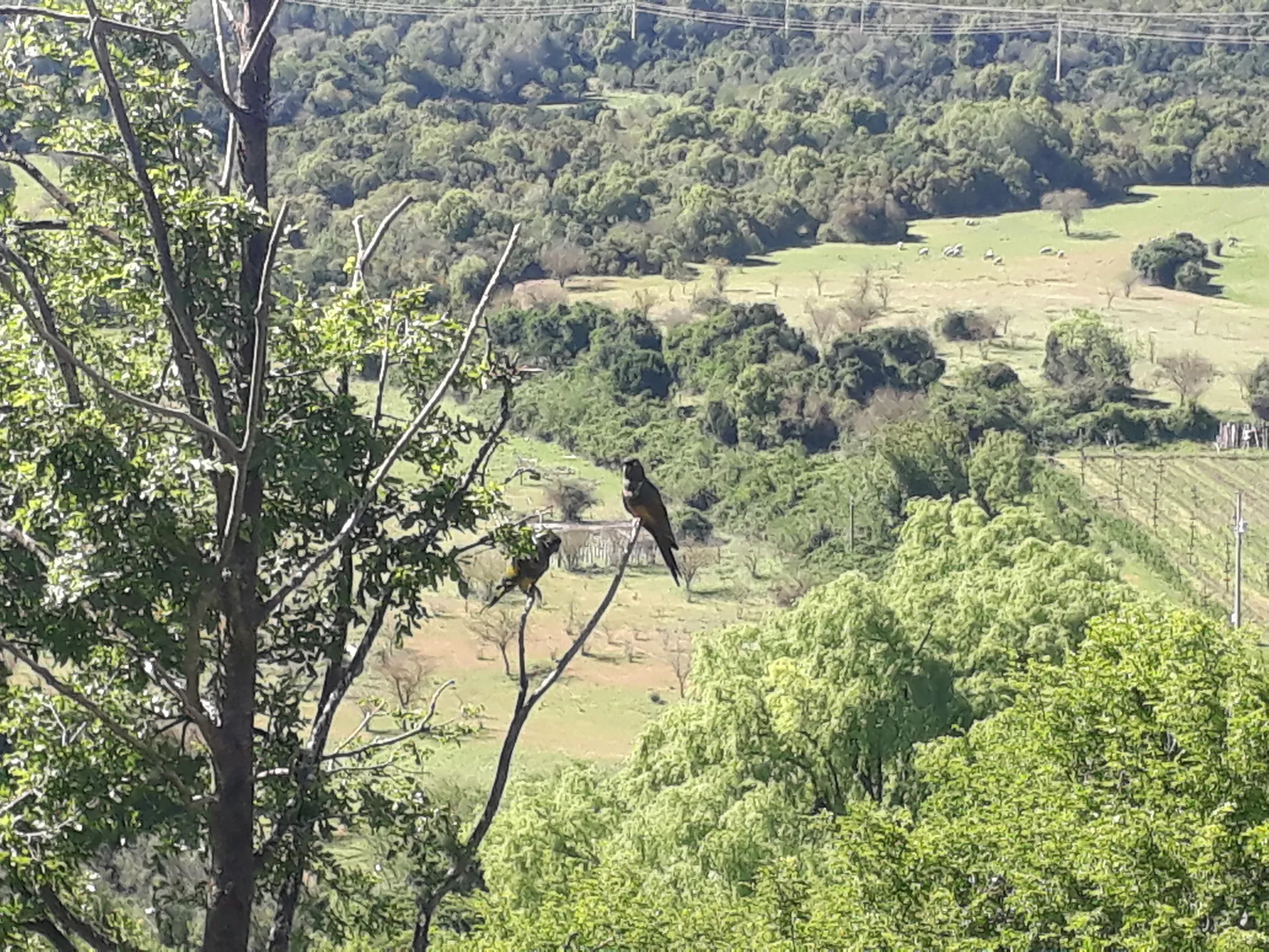 7heaven OnlyFans header