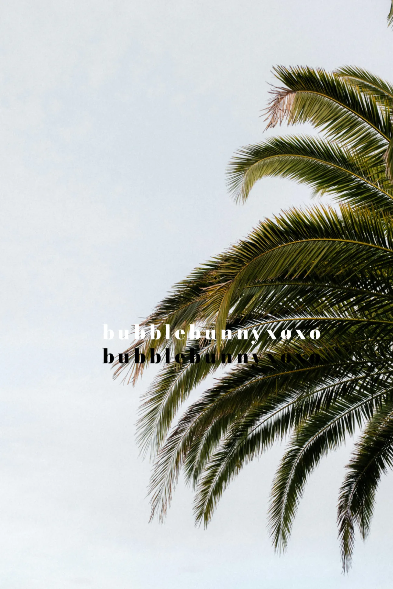 bubblebunny 🫧 OnlyFans header