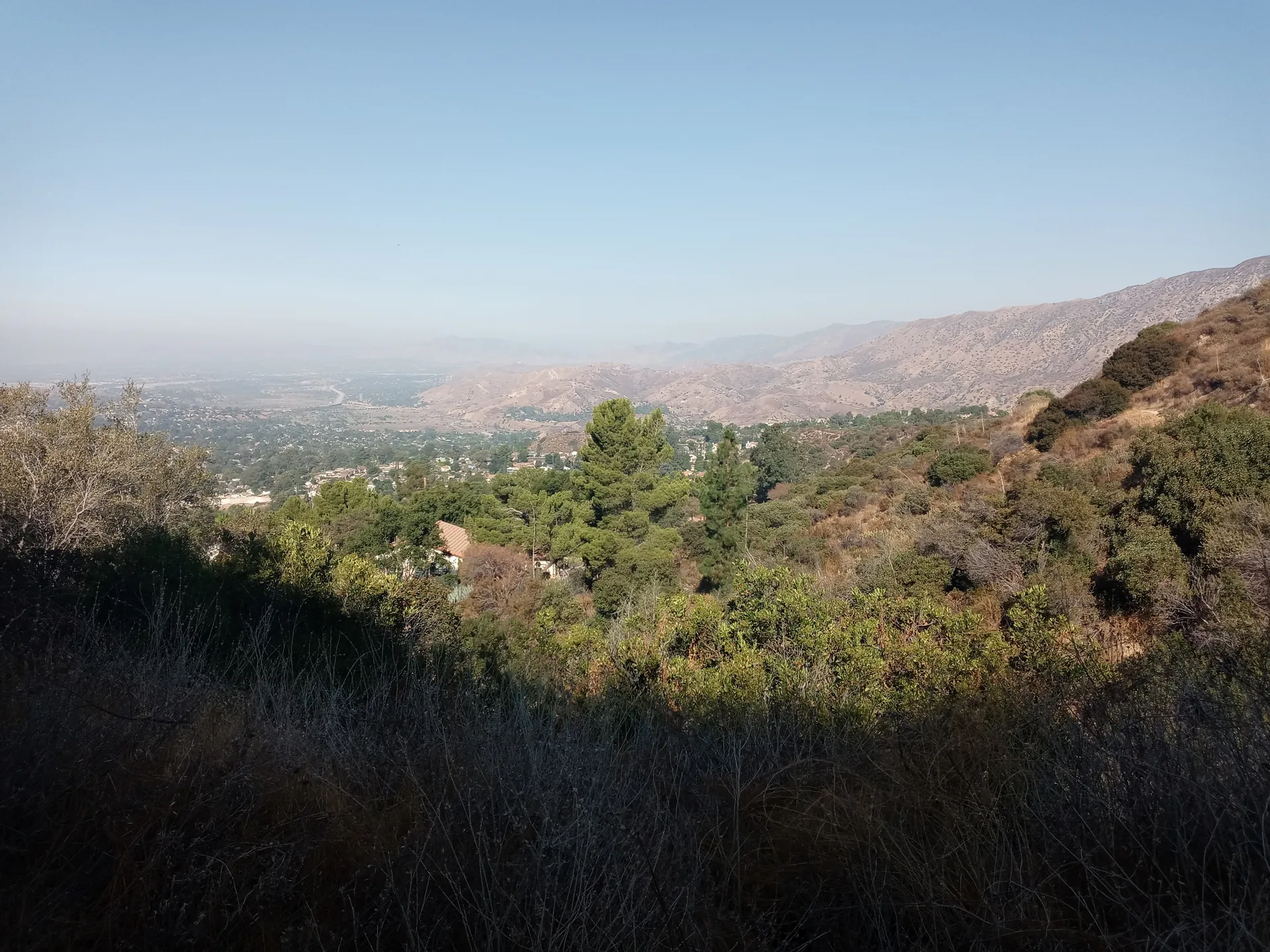 Bubbles OnlyFans header