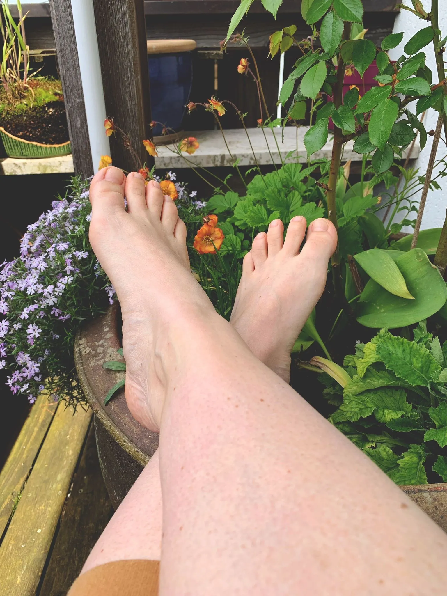 BubbleToesGermany OnlyFans header