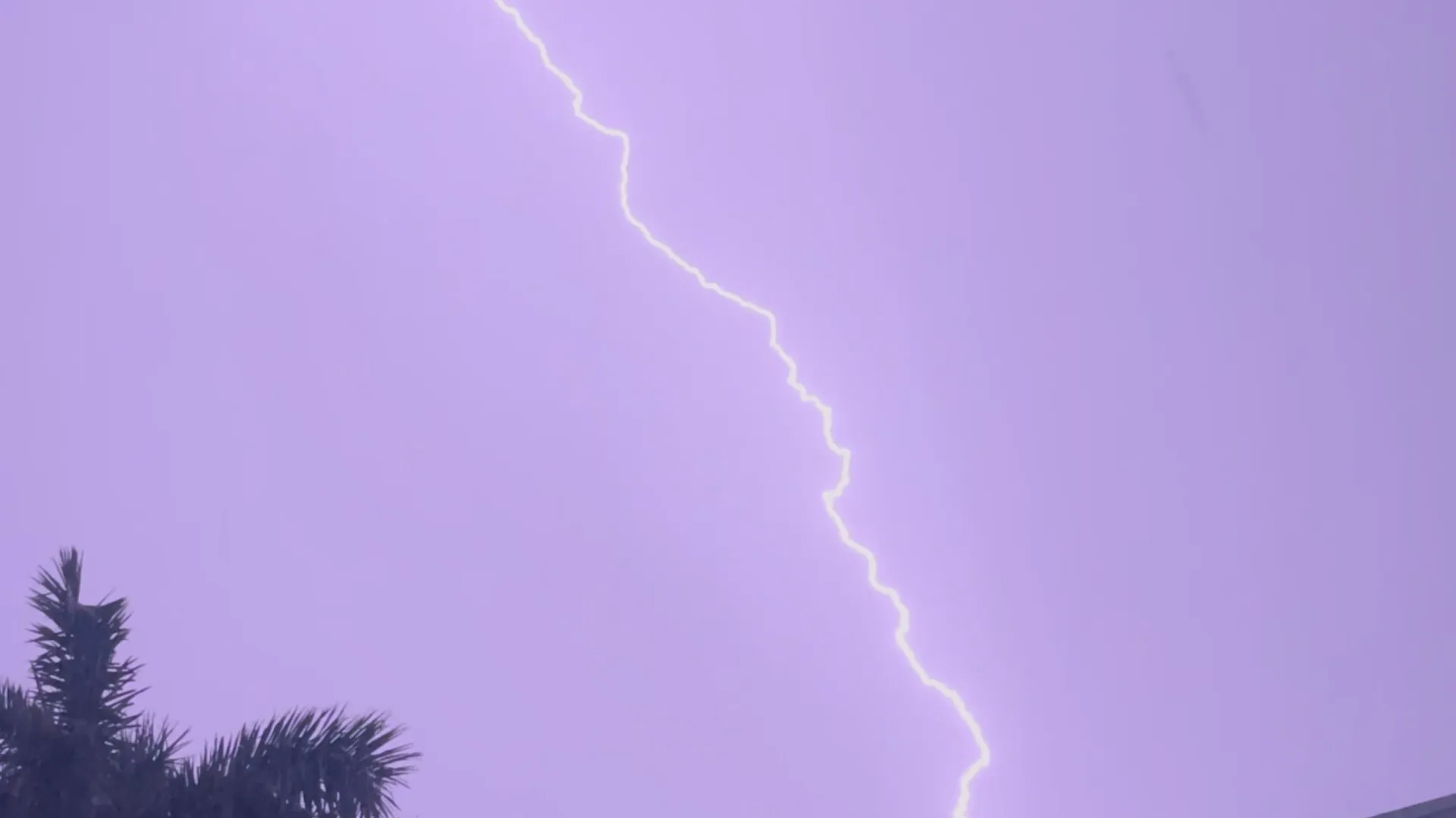 Insatiable Femboy OnlyFans header