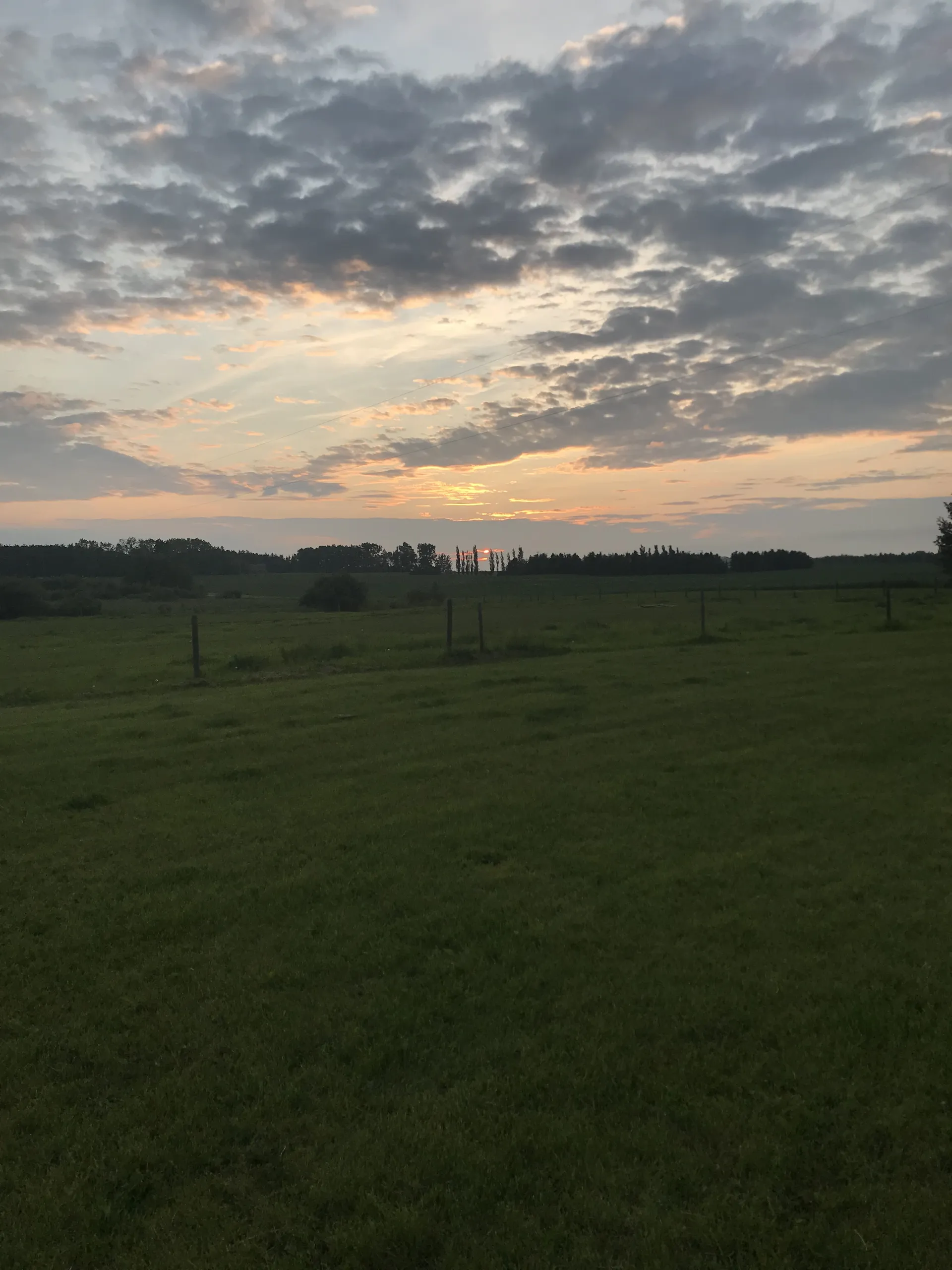 Liam OnlyFans header