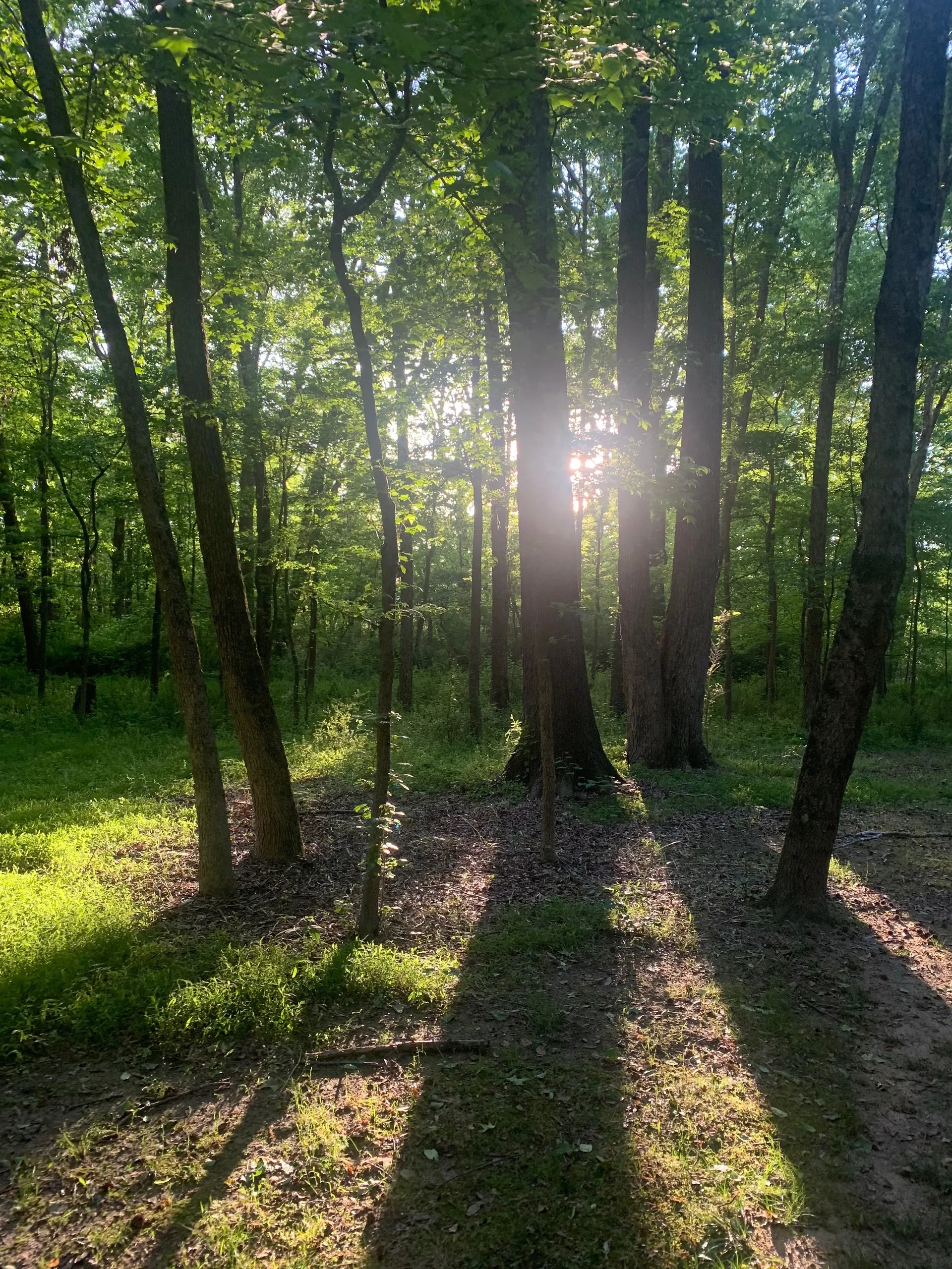 bubblyemobaby OnlyFans header