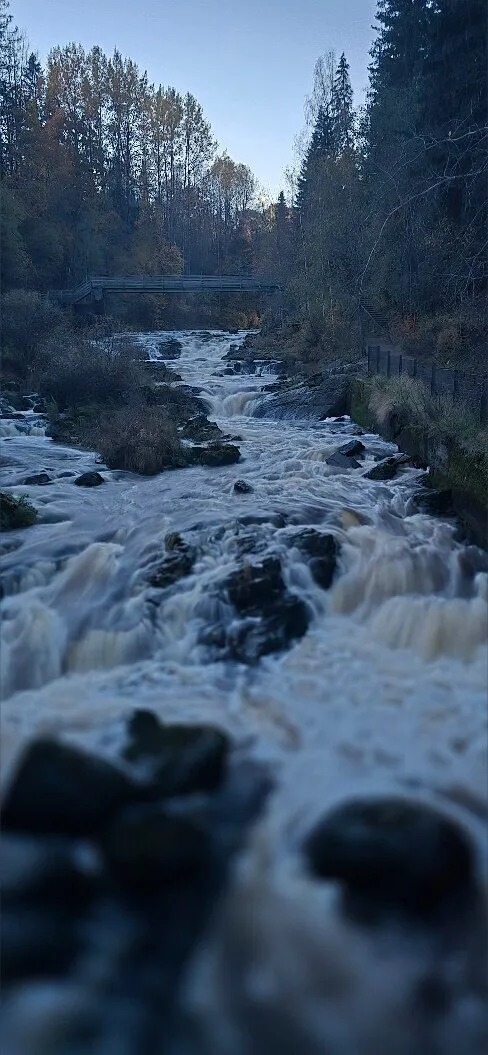 Bubududu OnlyFans header