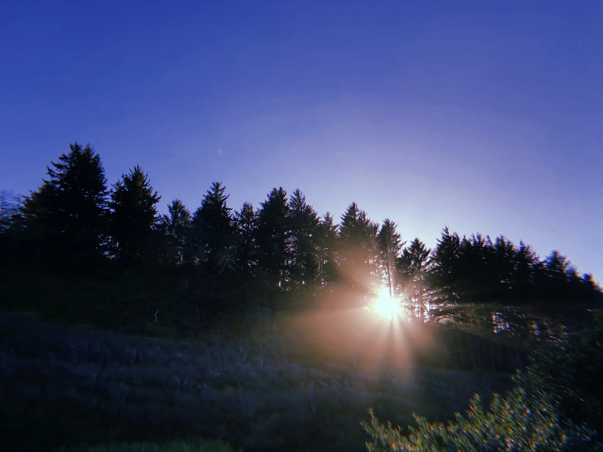 Buck OnlyFans header