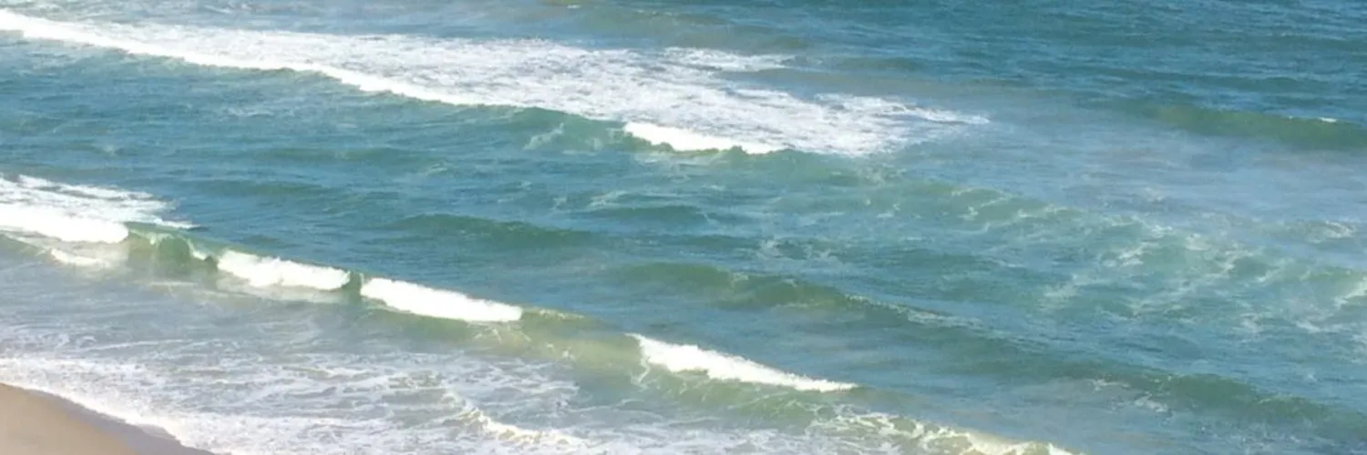 William OnlyFans header