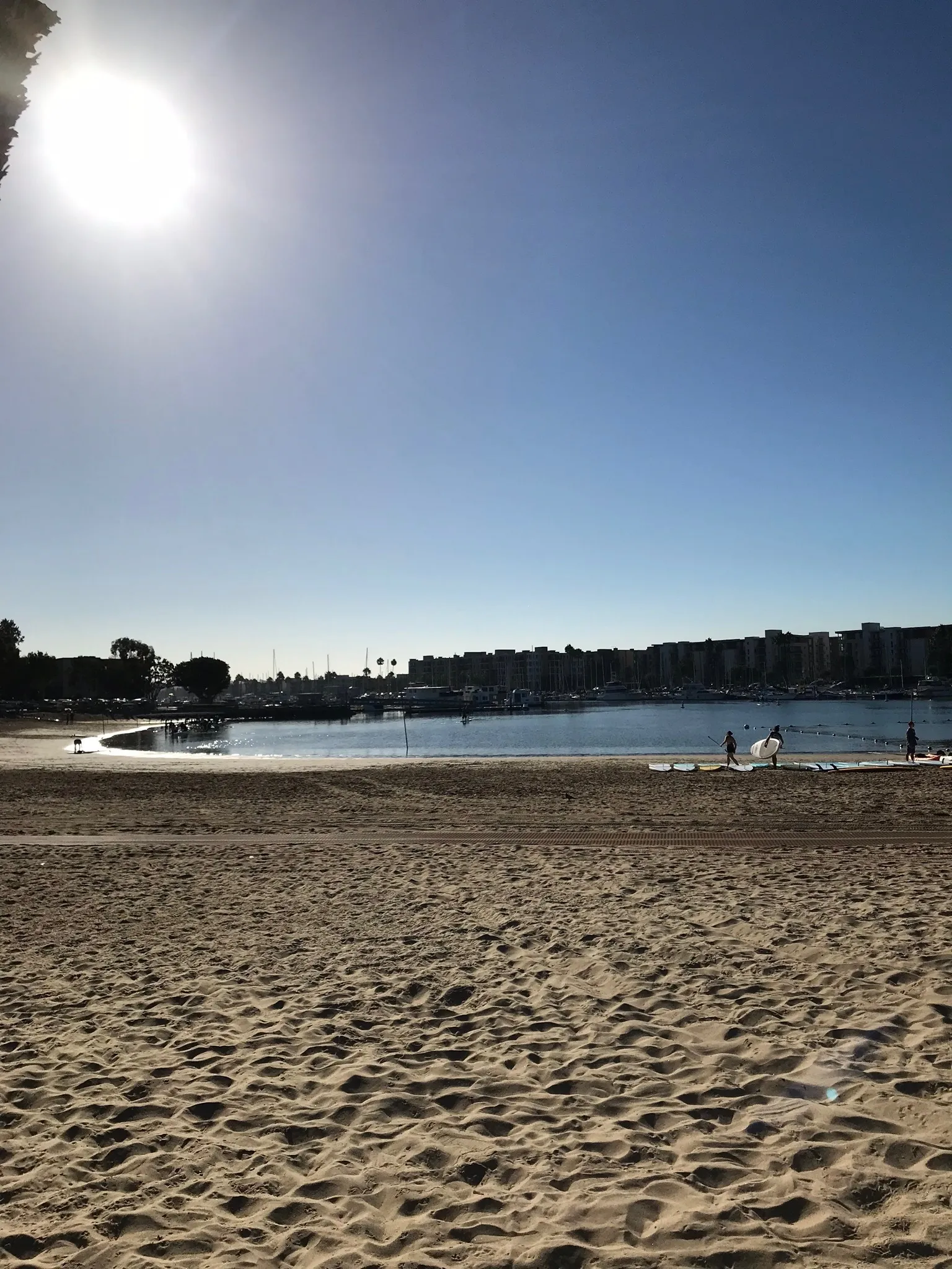 Buck Wilde OnlyFans header