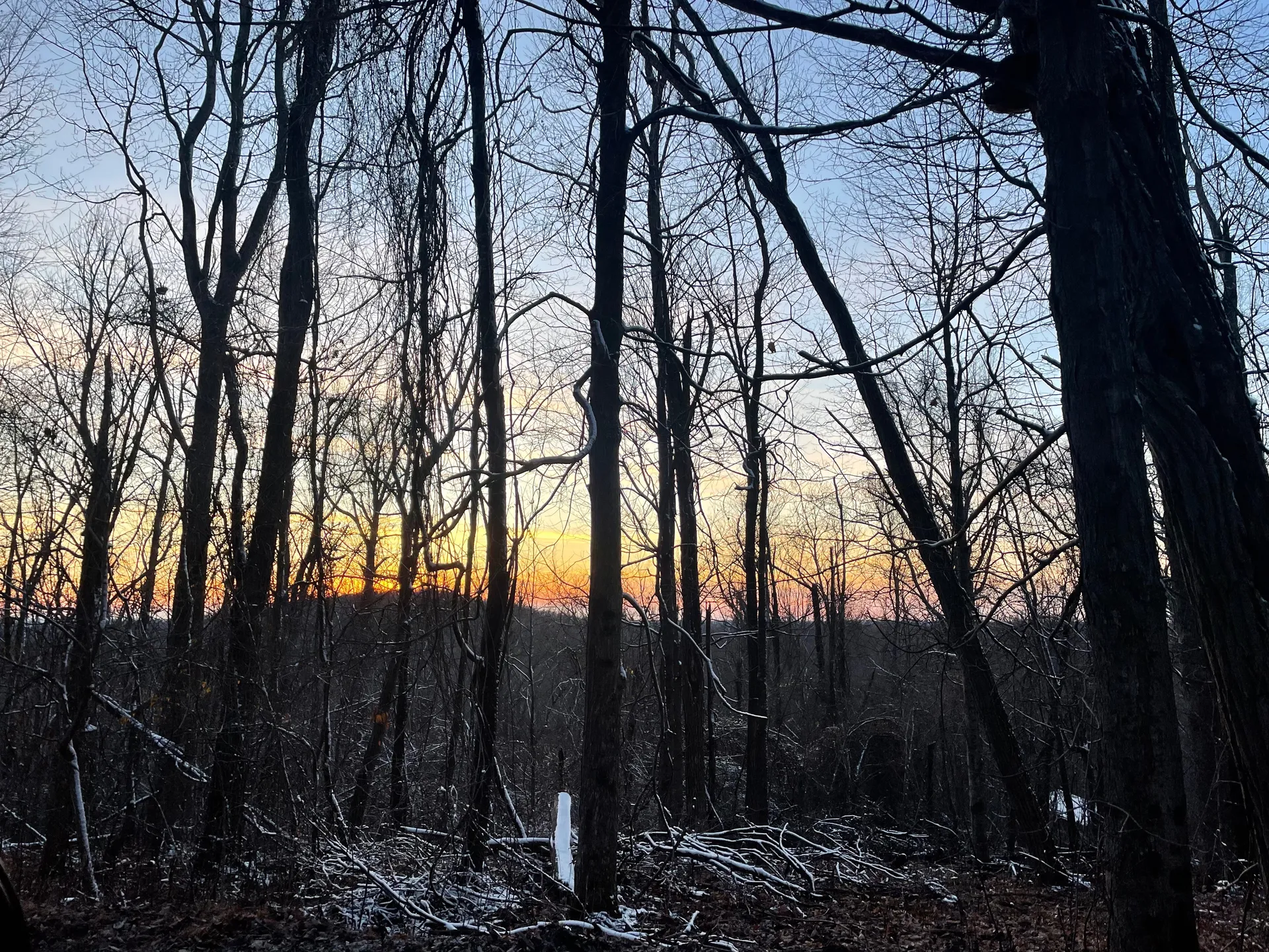 Buck Wyldr OnlyFans header