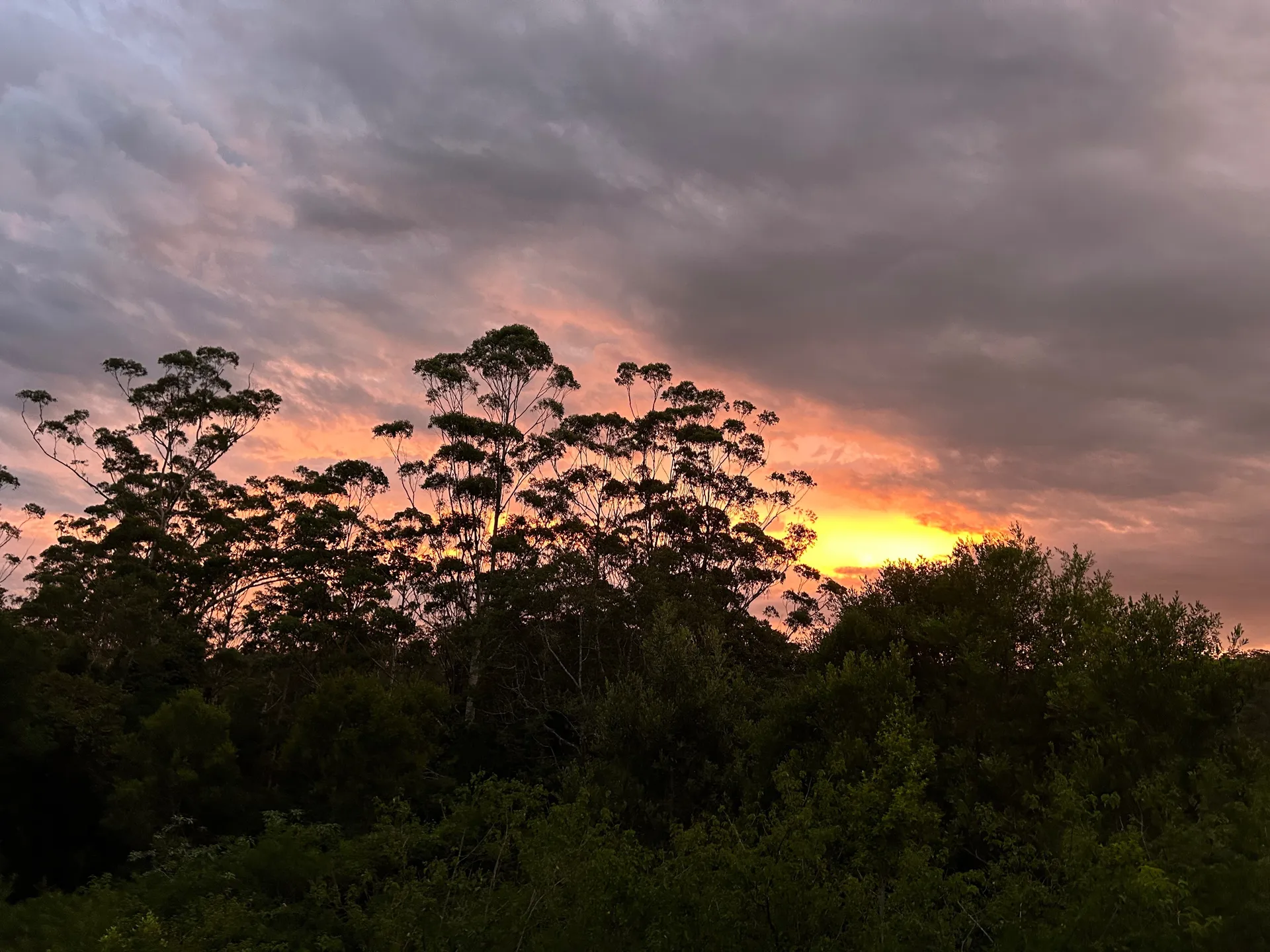 BuckyBlonde OnlyFans header