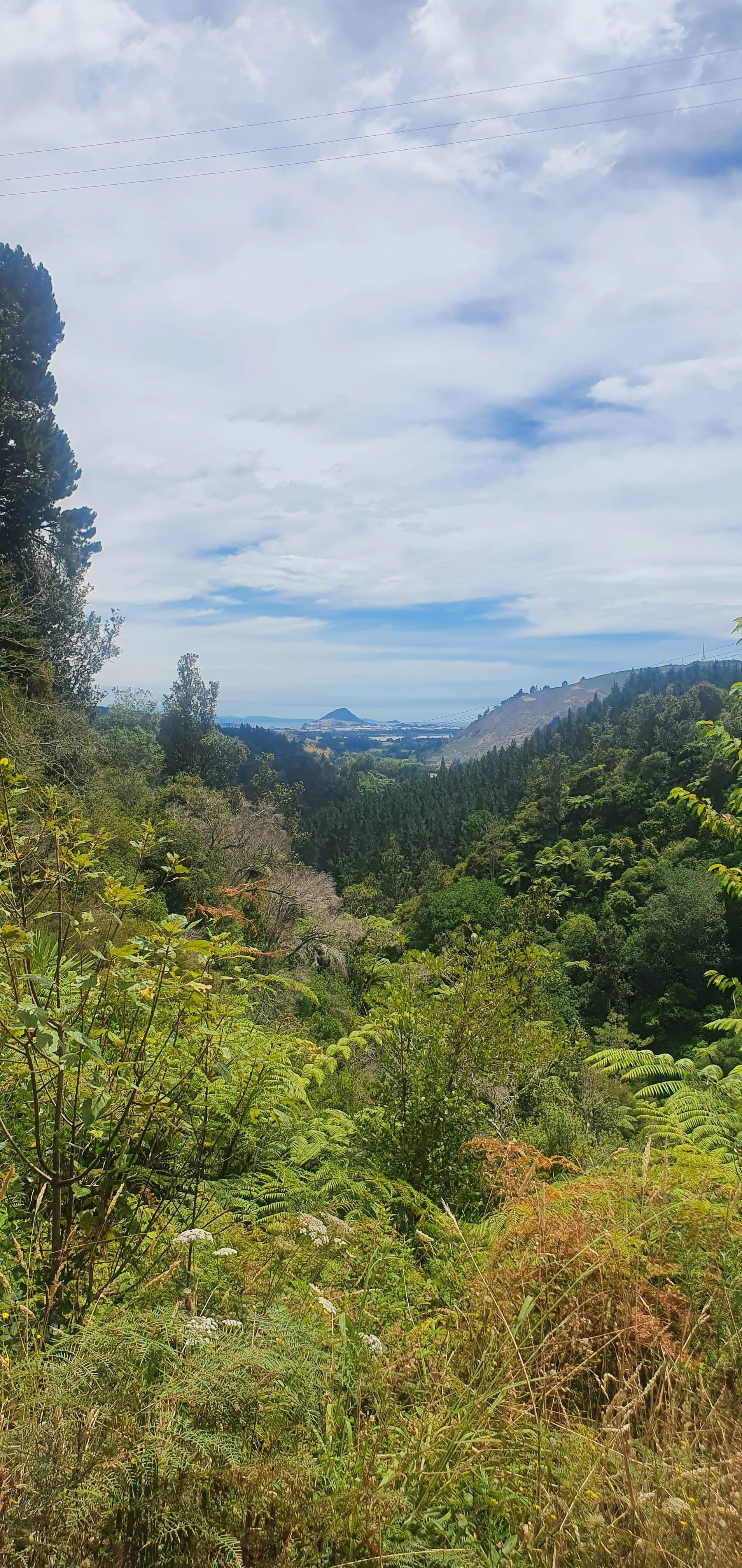 Buck OnlyFans header