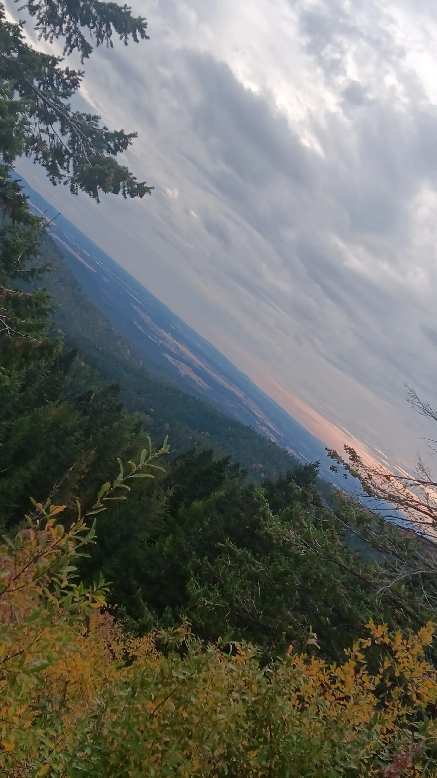 Buckylongdong OnlyFans header