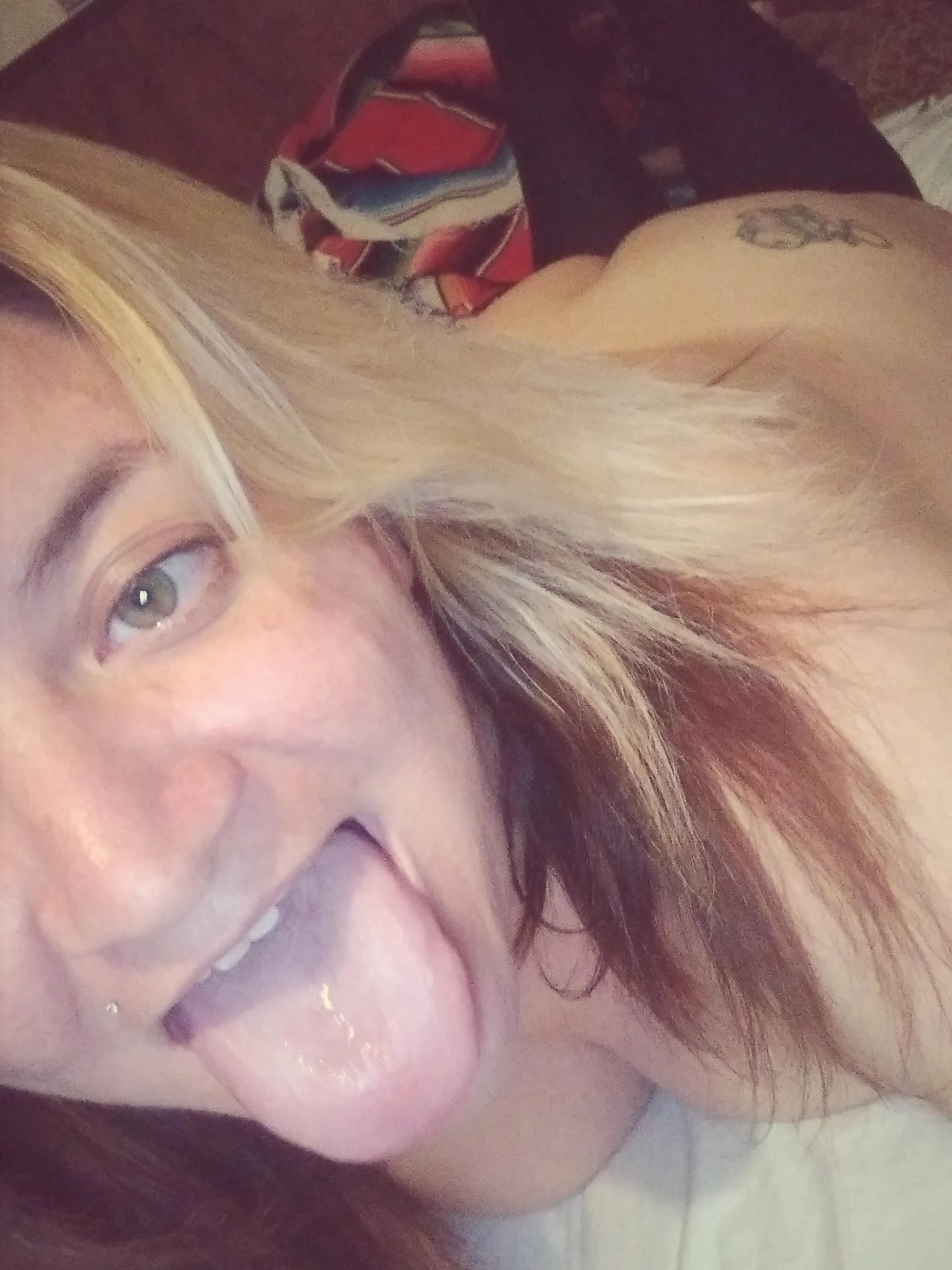 Murphys Paw OnlyFans header