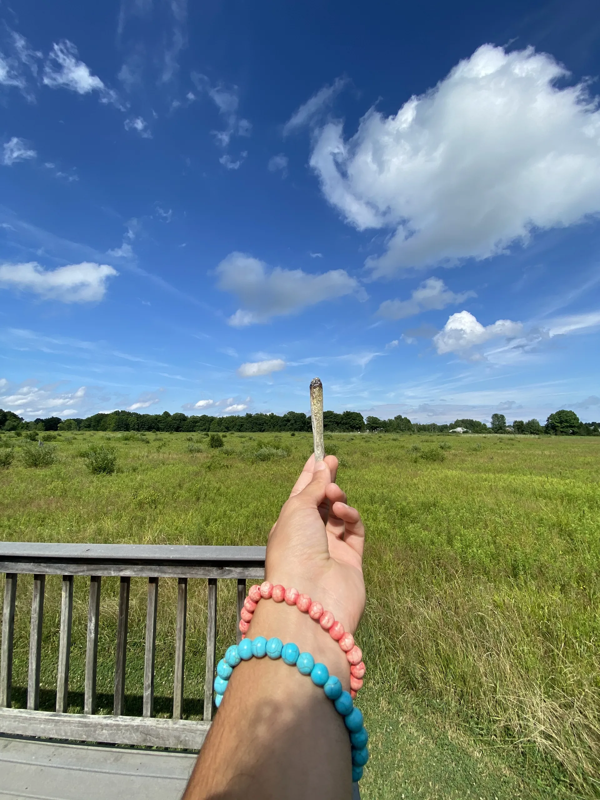 David OnlyFans header