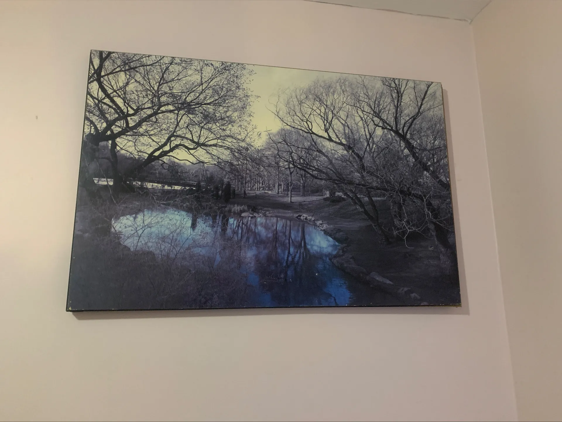 Buddy OnlyFans header