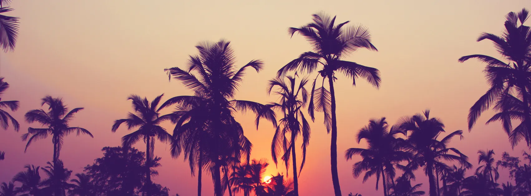 Evan MacDonald OnlyFans header