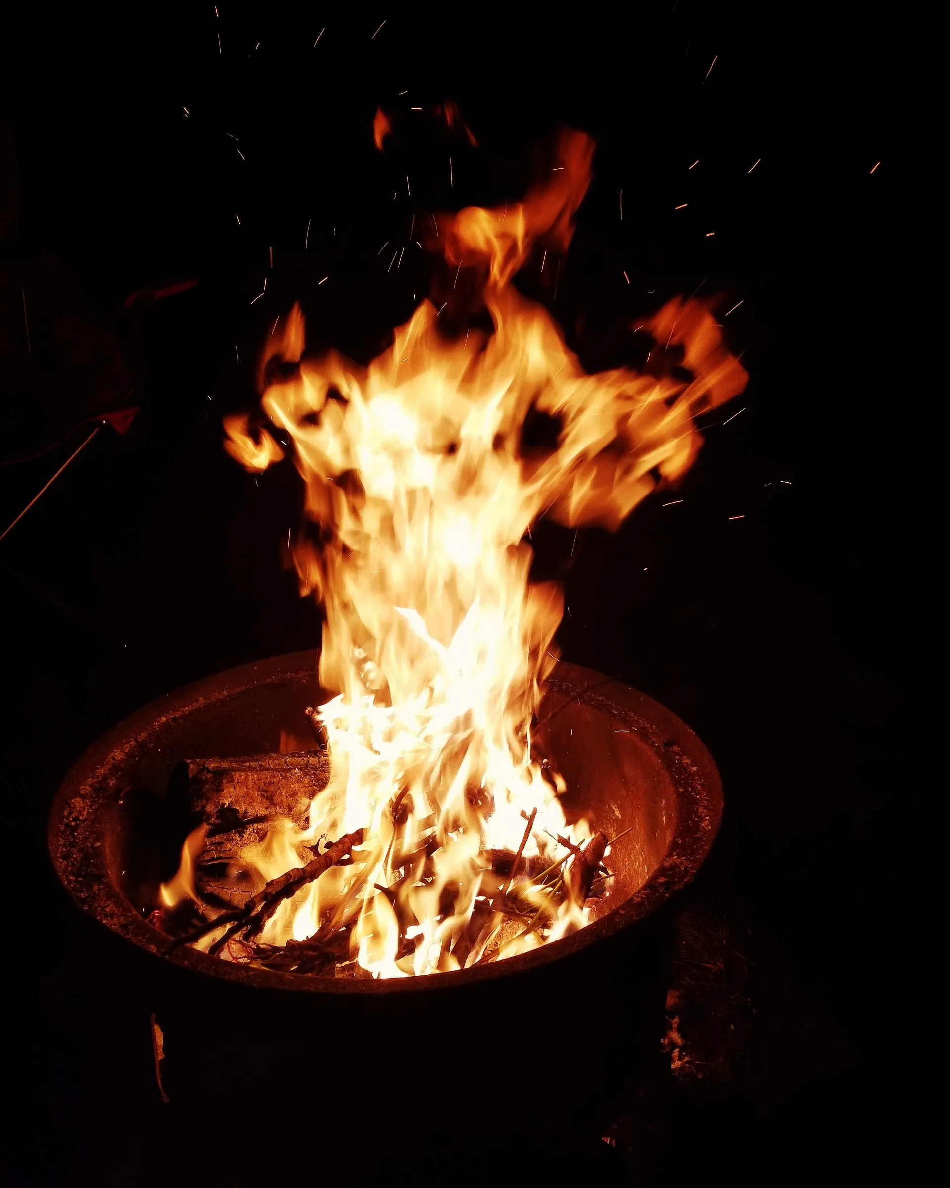 Sexydog OnlyFans header