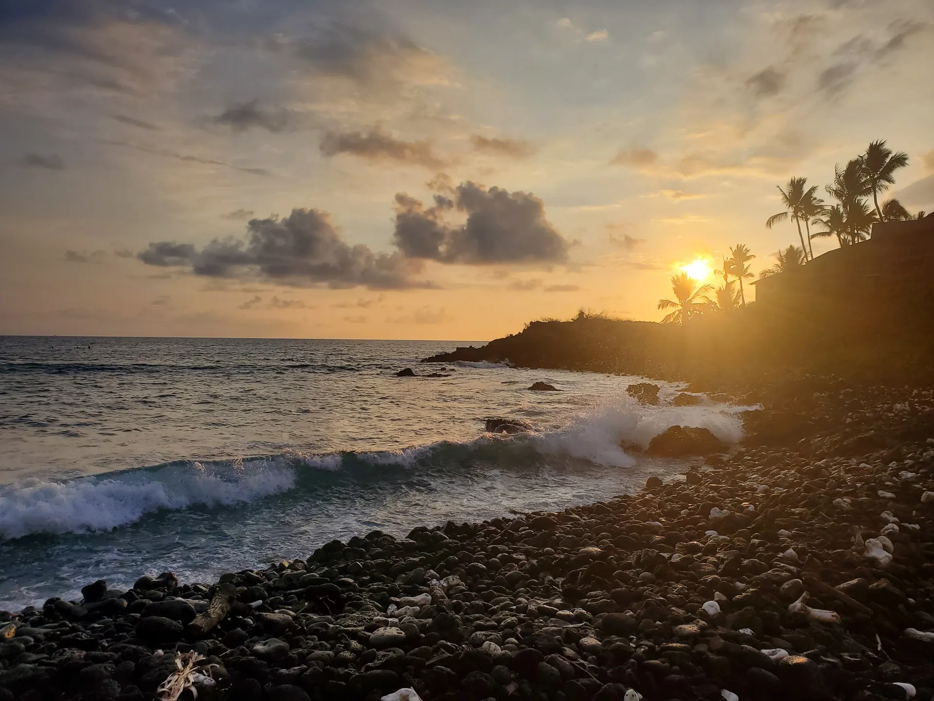 Rayne OnlyFans header