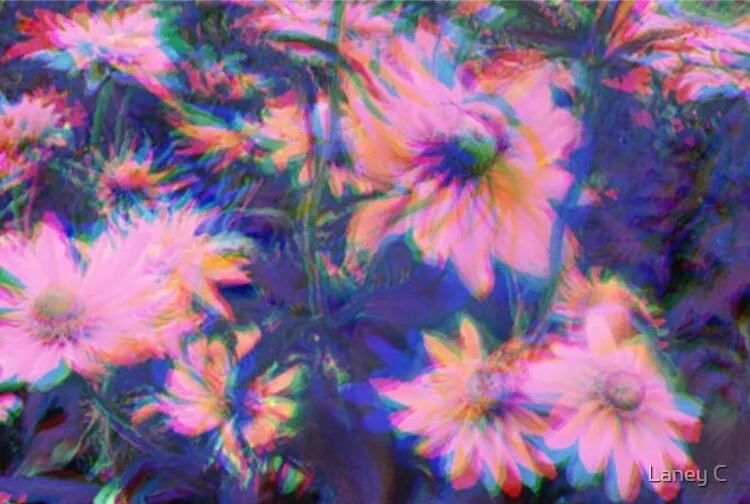 Trashbug OnlyFans header