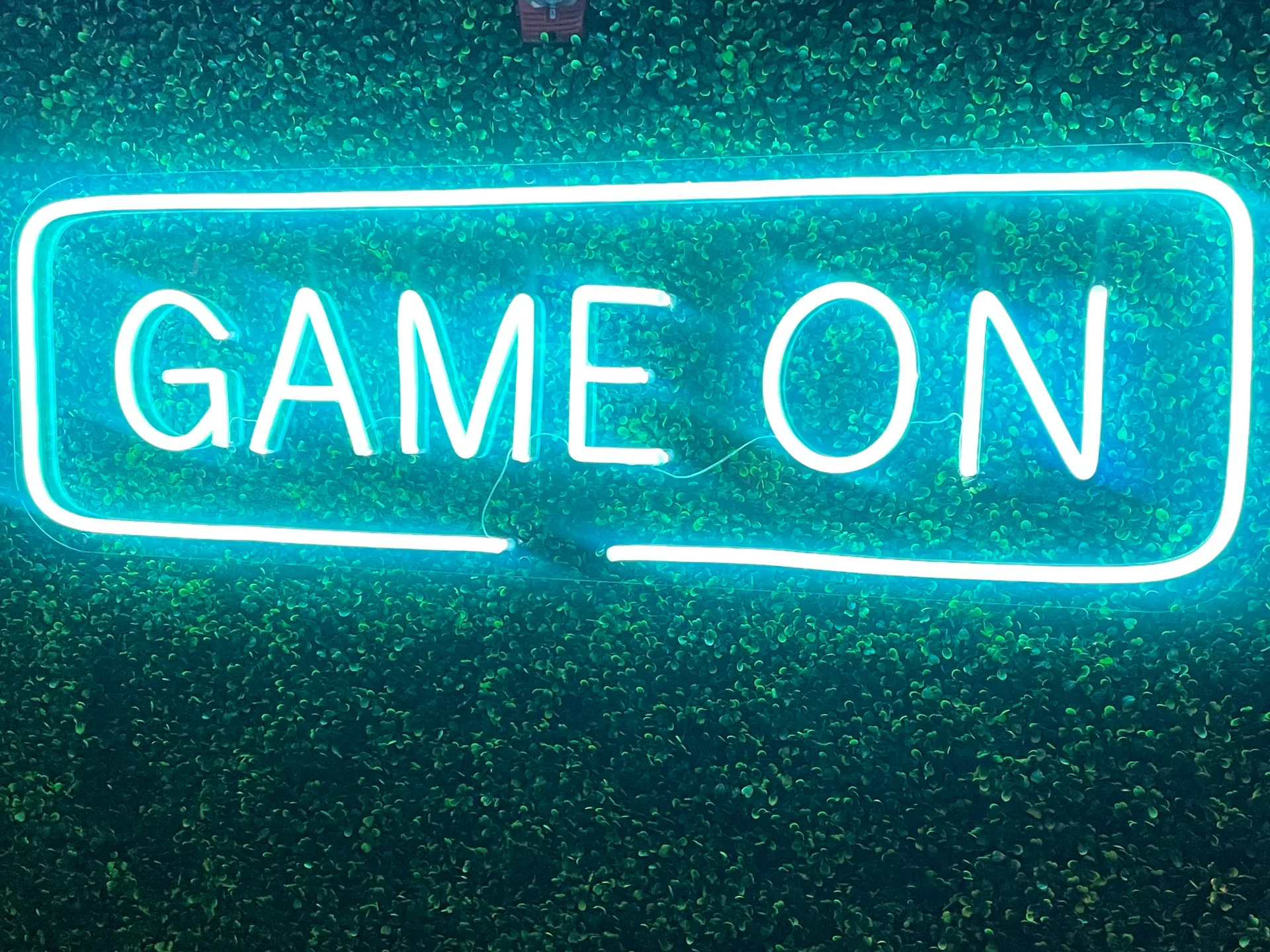 Bugminot OnlyFans header