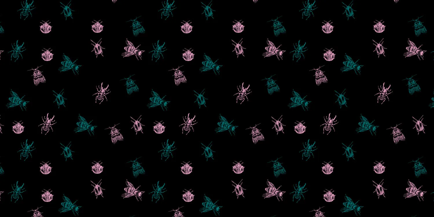 Bug 🪲 OnlyFans header