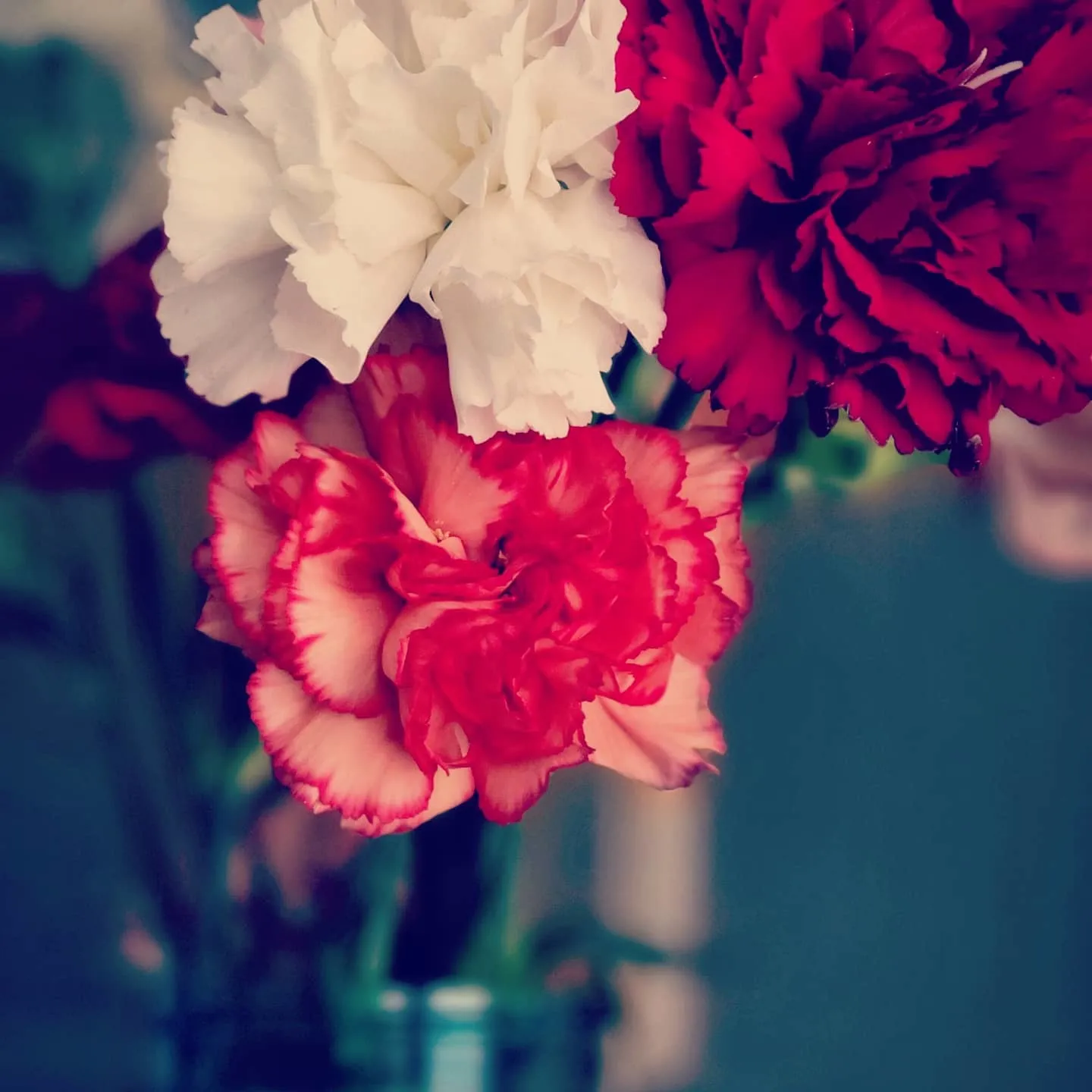 Katie bug OnlyFans header