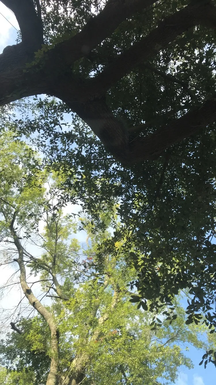 Hail Re7 OnlyFans header