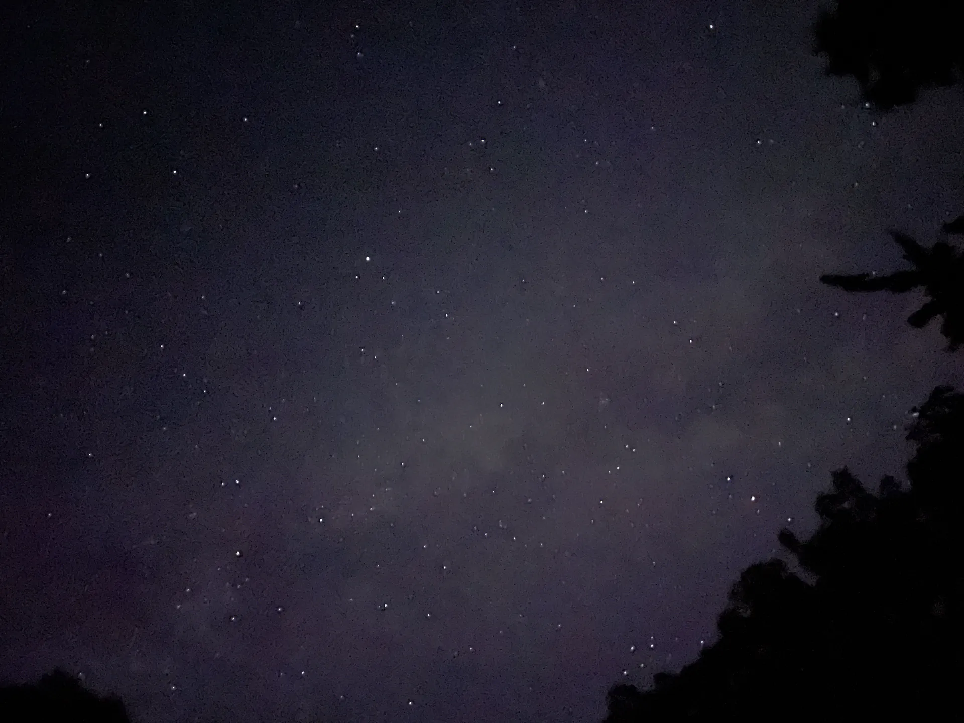 Alex Buko! OnlyFans header