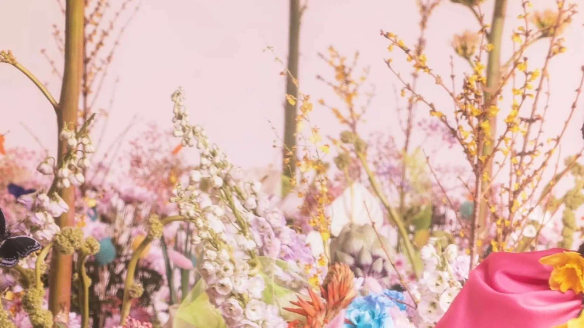 Bukunmi OnlyFans header