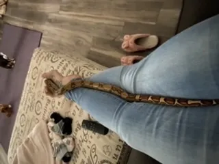 Kimchi OnlyFans header