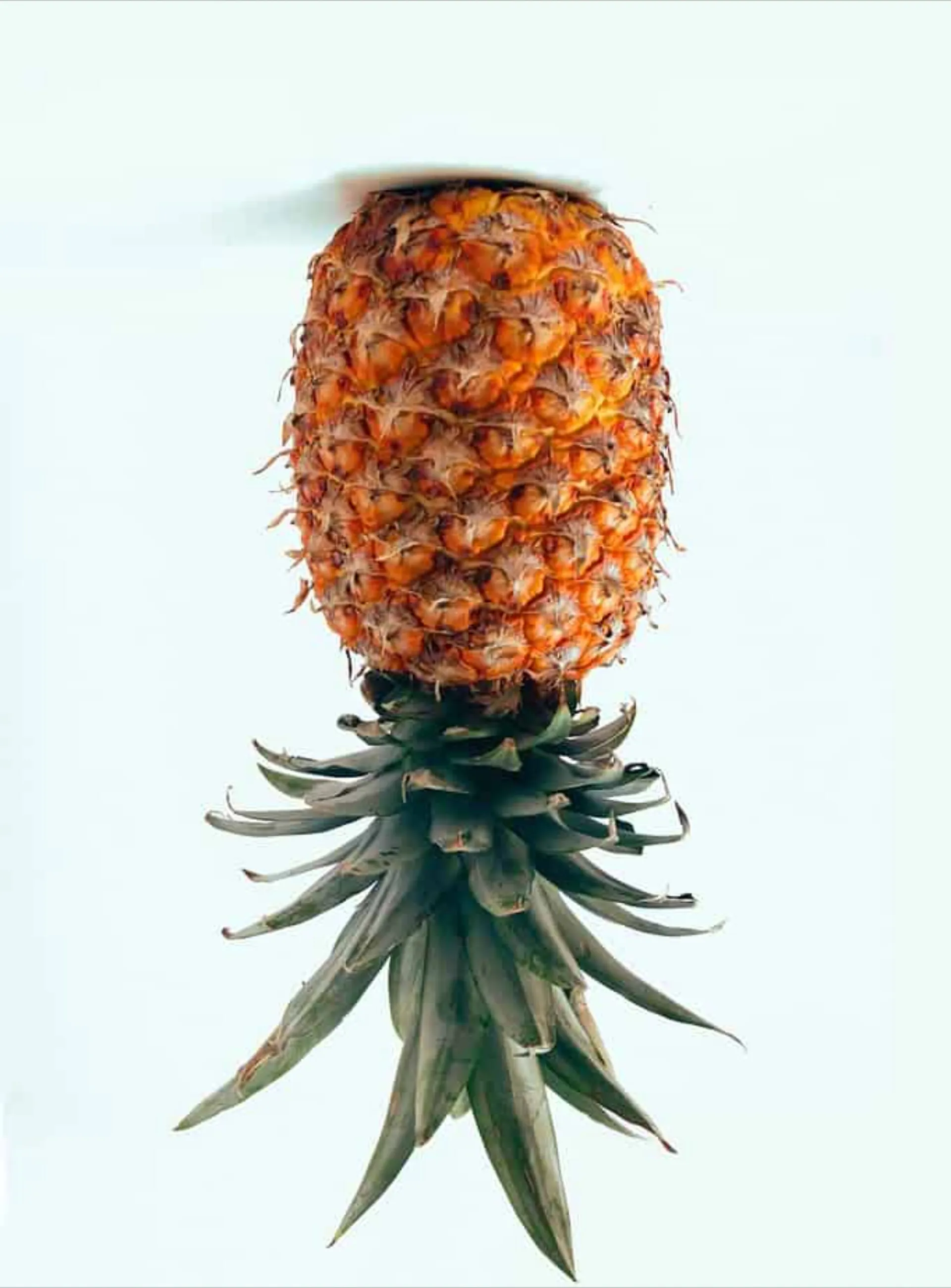 Bulland90 OnlyFans header