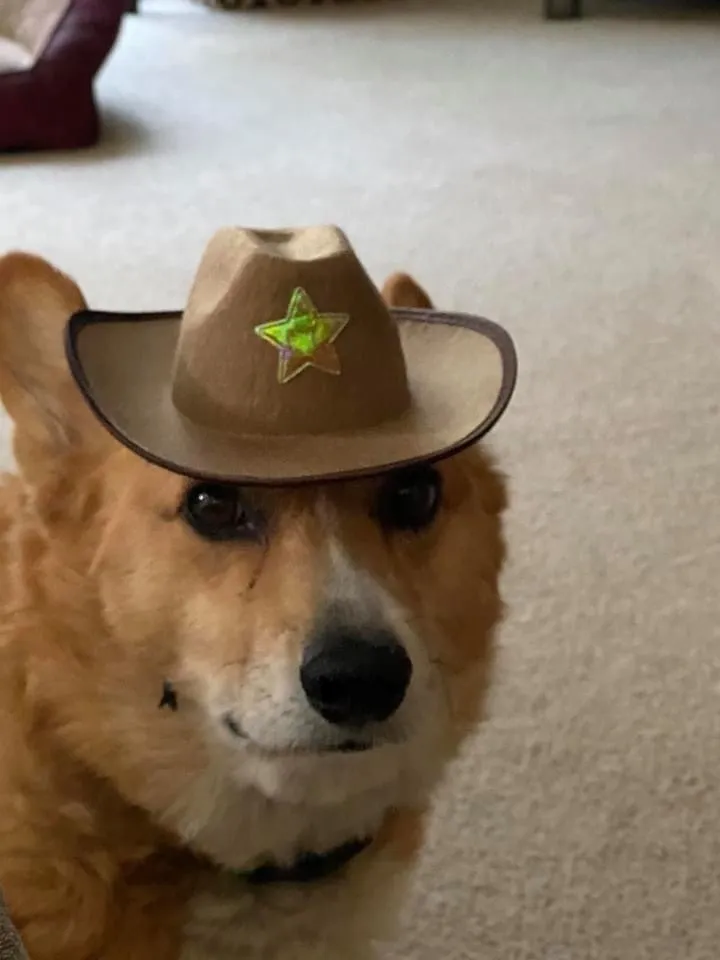 Yoboi OnlyFans header