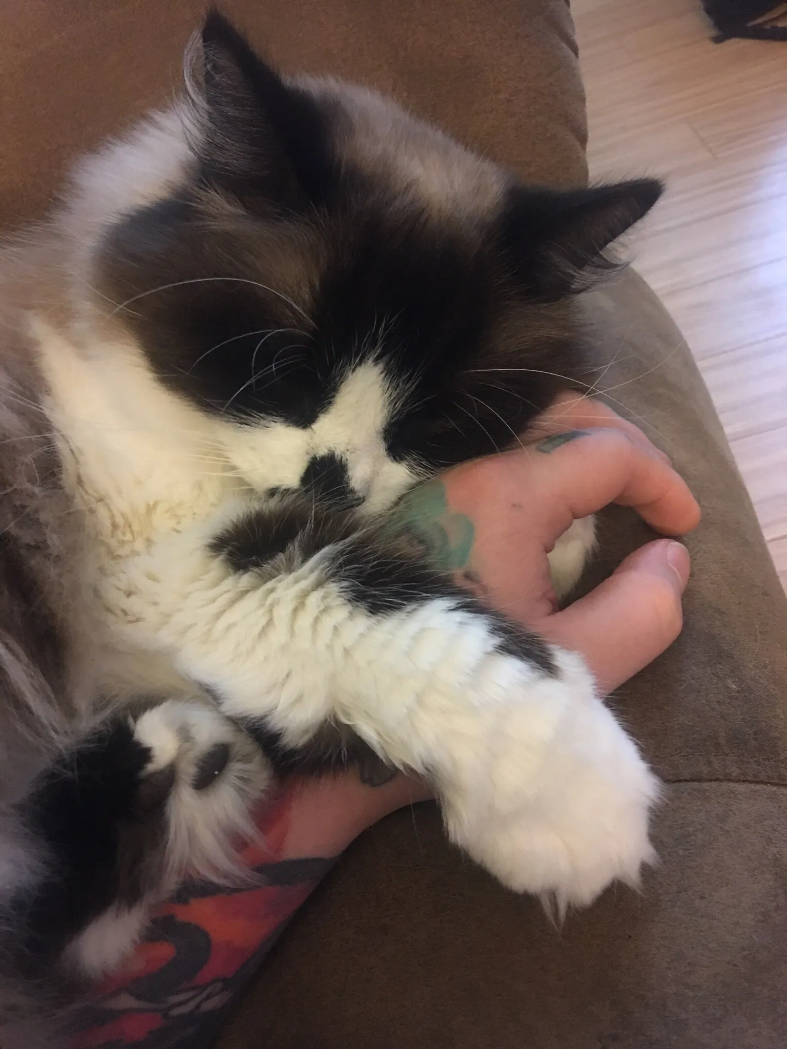 The Neglectful Boyfriend Experience OnlyFans header