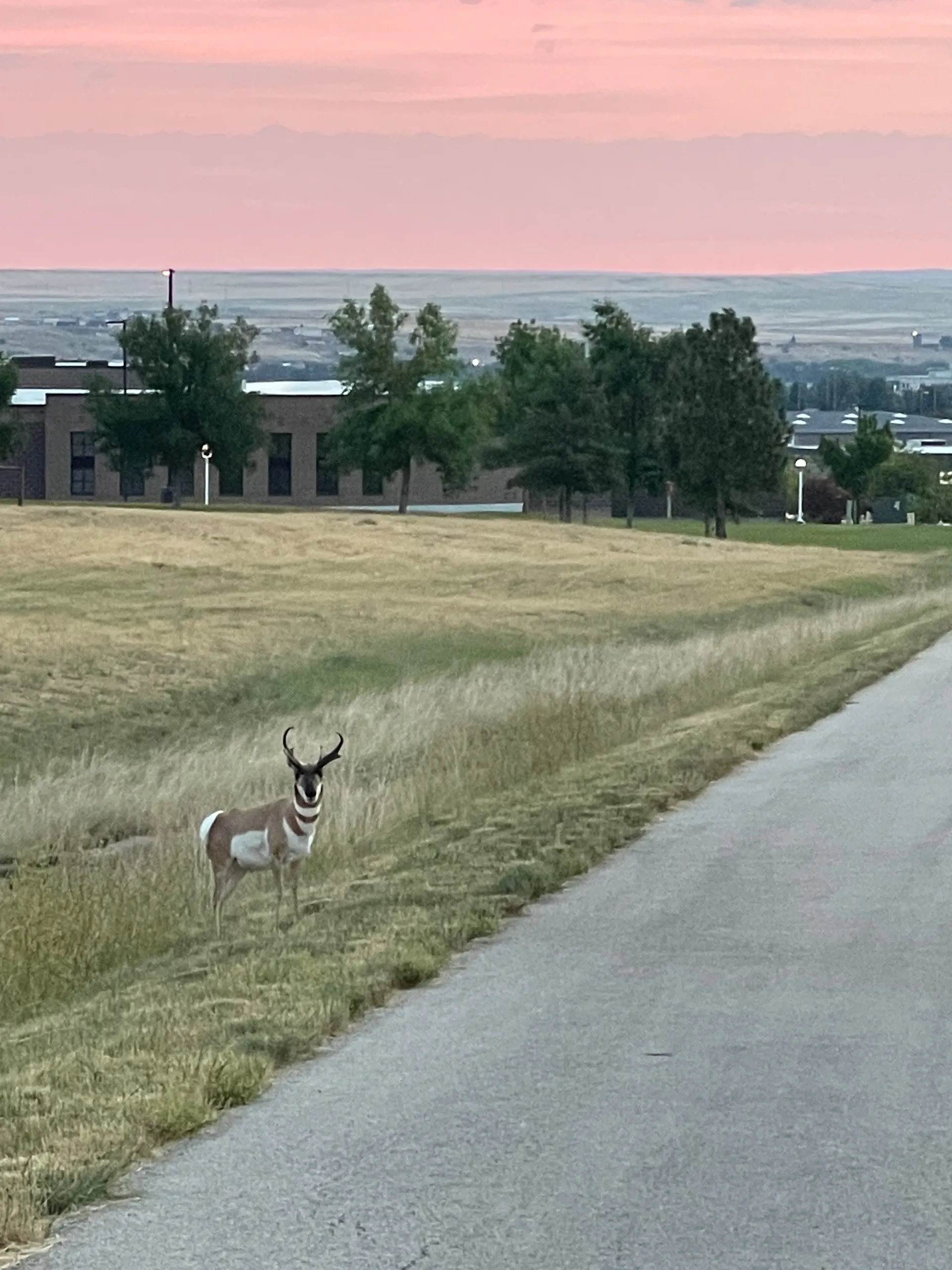 Belle OnlyFans header