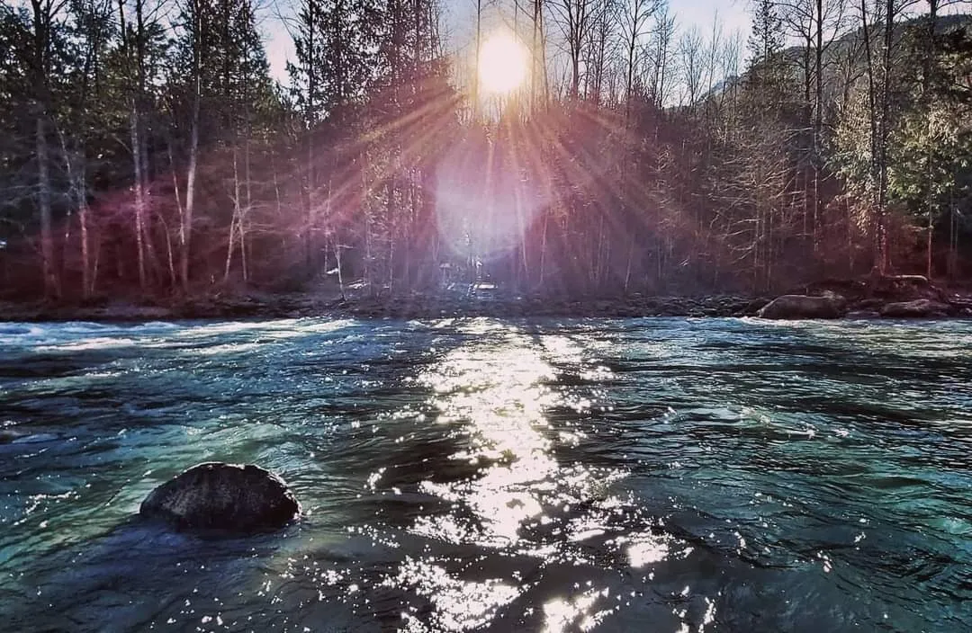 Bully Long OnlyFans header