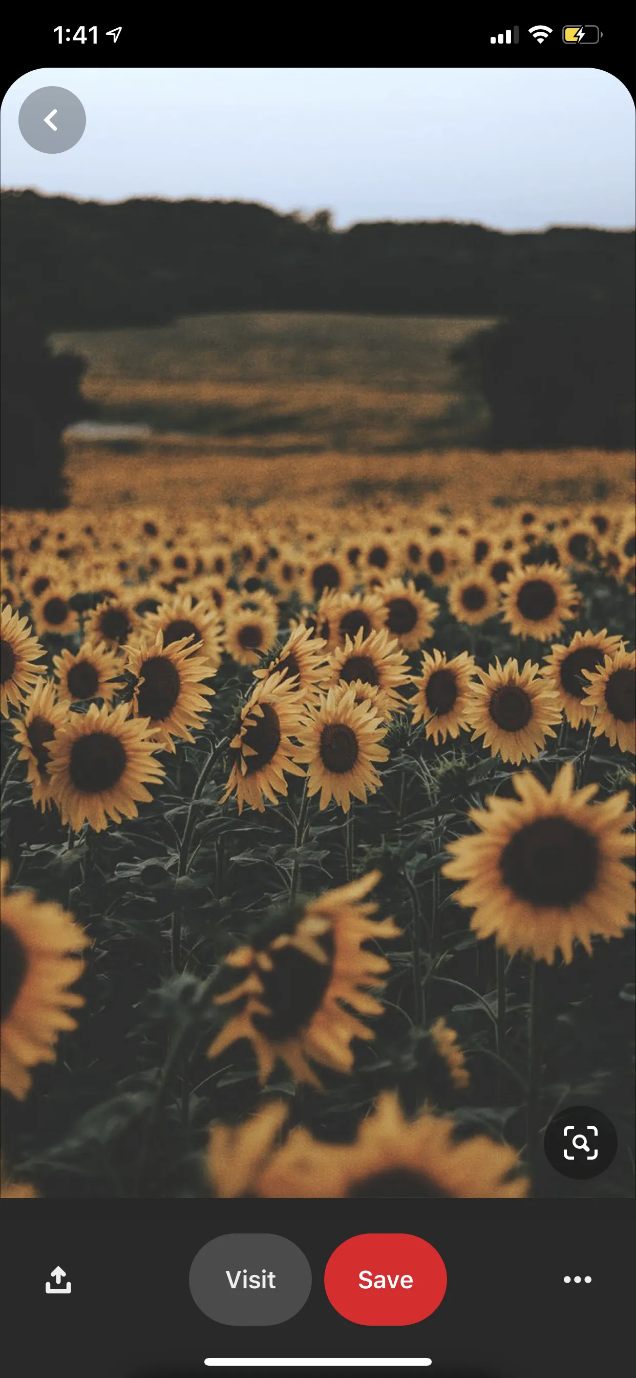 BeeEazy OnlyFans header