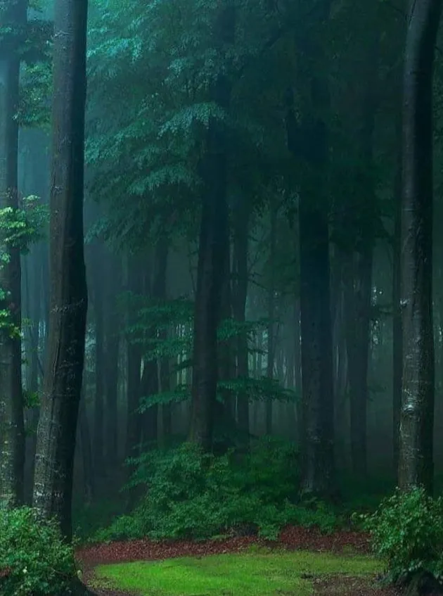 Eliza OnlyFans header